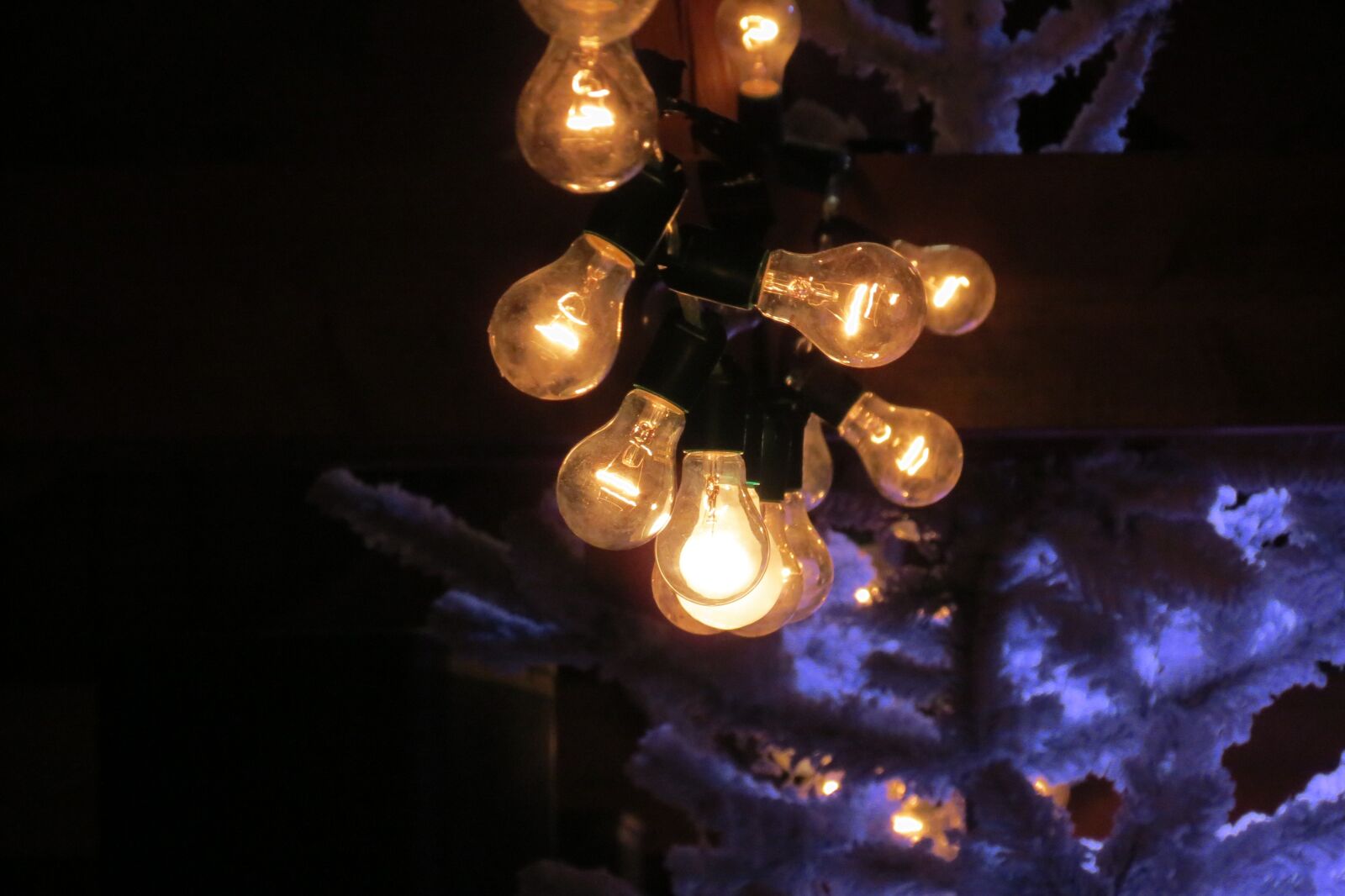 Canon PowerShot SX40 HS sample photo. Lights, lamps, light bulbs photography