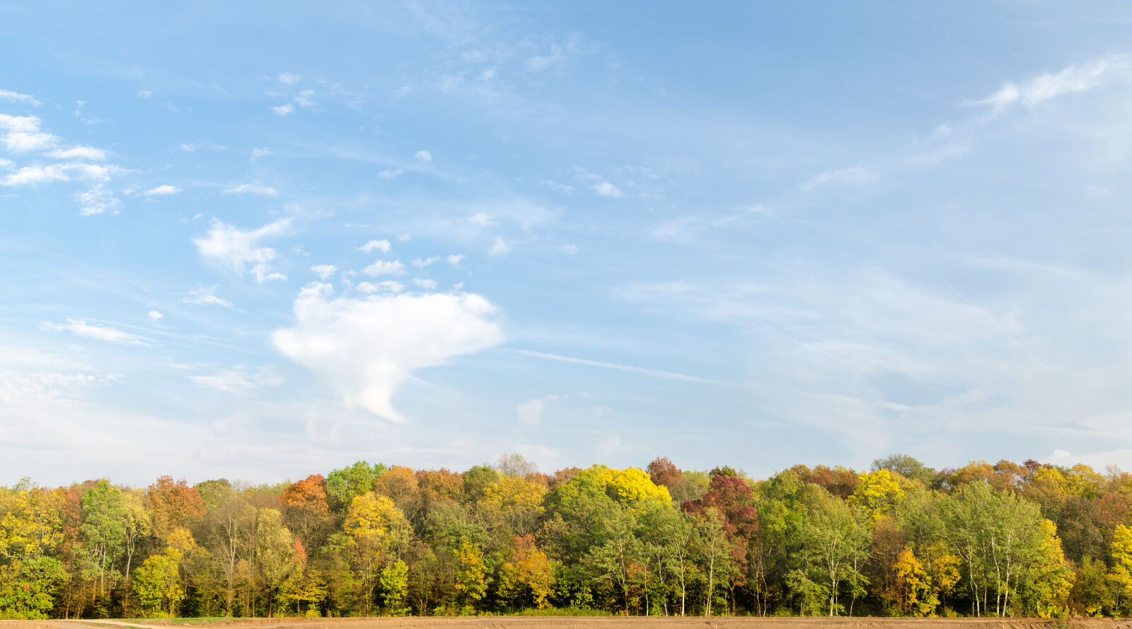 Nikon D5100 sample photo. Autumn, background, beautiful, blue photography