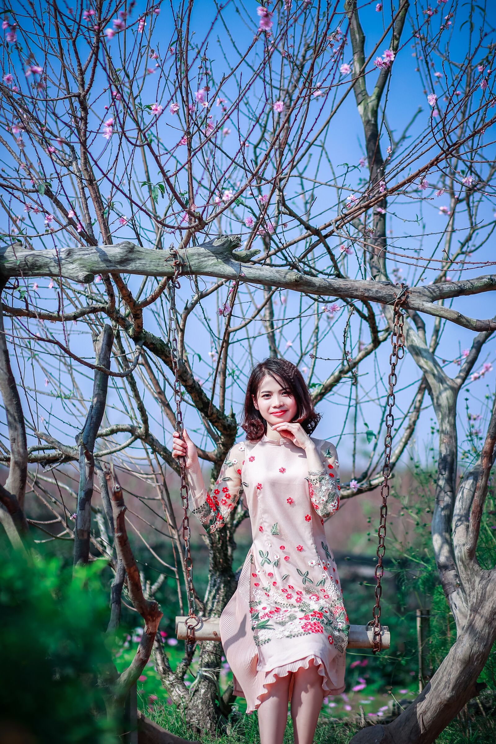 Canon EF 85mm F1.8 USM sample photo. Tree, nature, outdoors photography