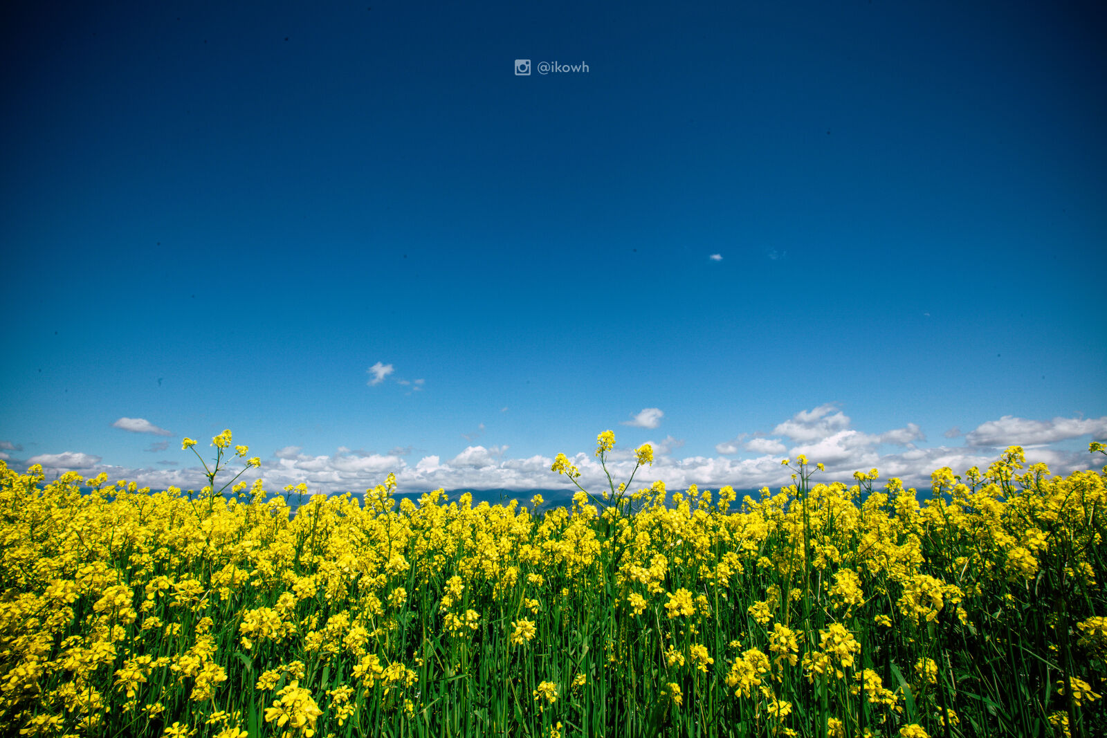 Canon EF 16-35mm F2.8L II USM sample photo