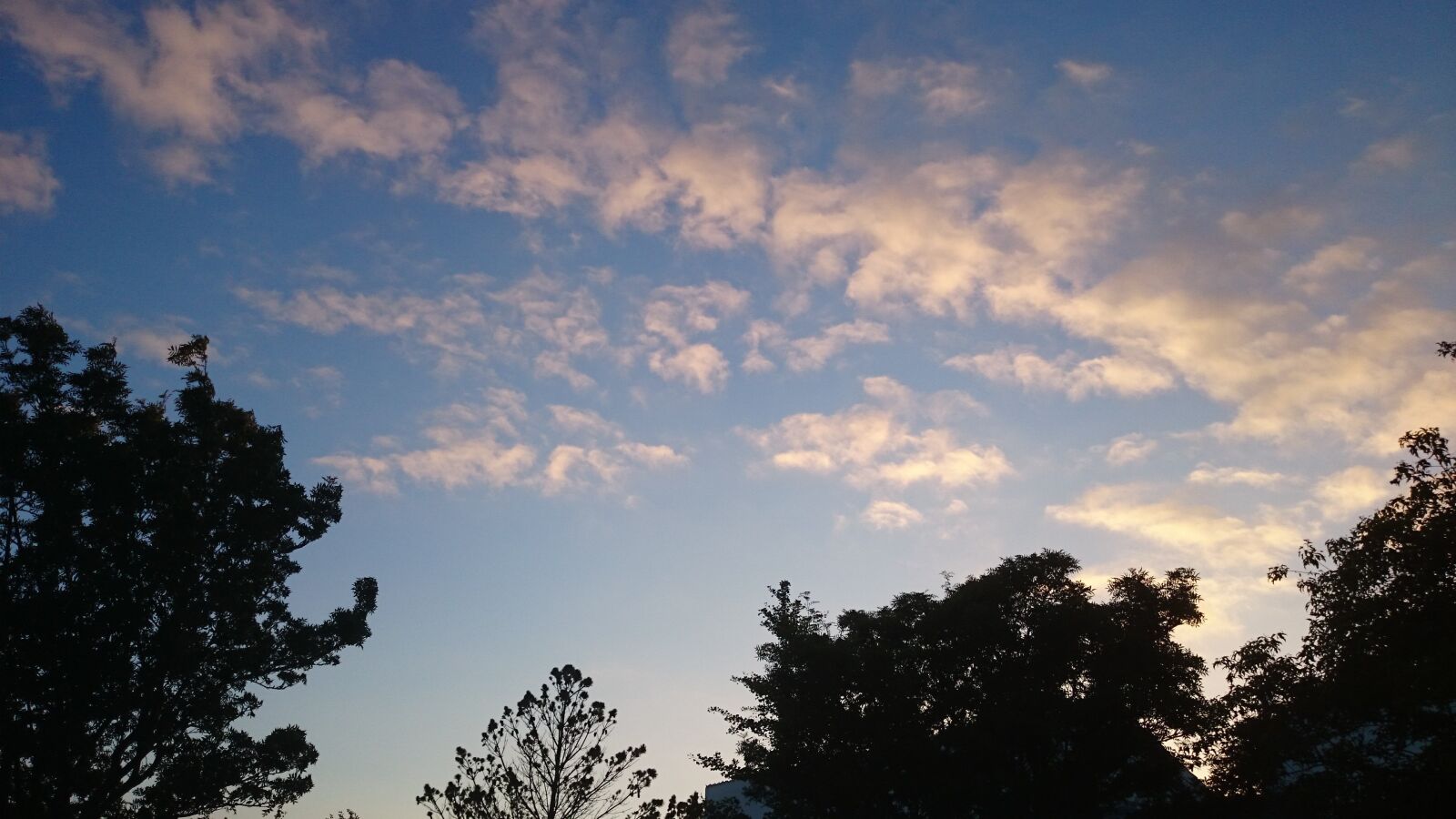 Sony Xperia Z1 Compact sample photo. Trees, clouds, blue sky photography