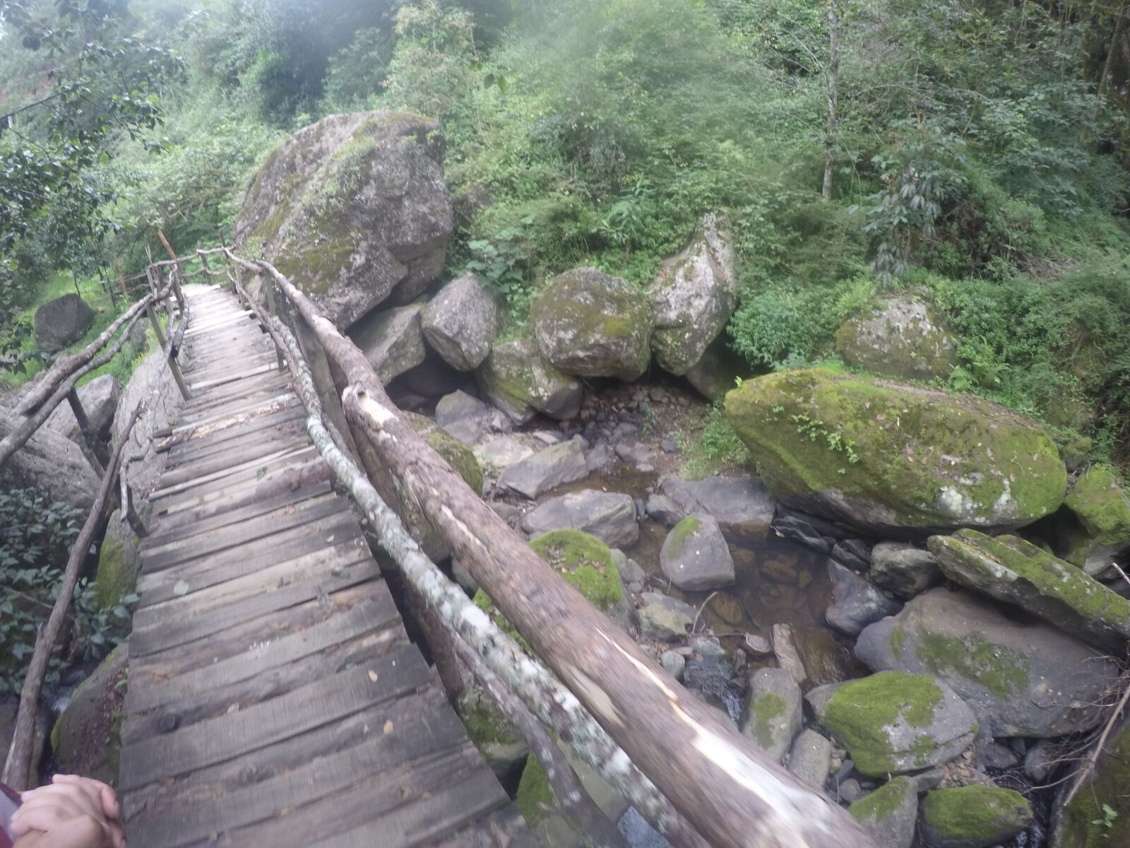 GoPro HERO4 Silver sample photo. Bridge, forest, traveller photography