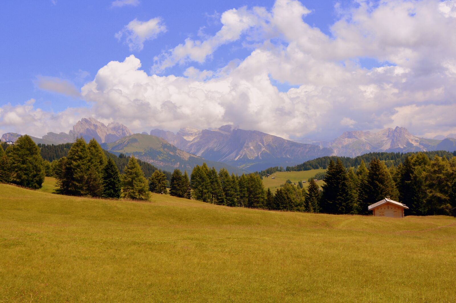 Nikon D7100 sample photo. Prato, dolomites, mountain photography