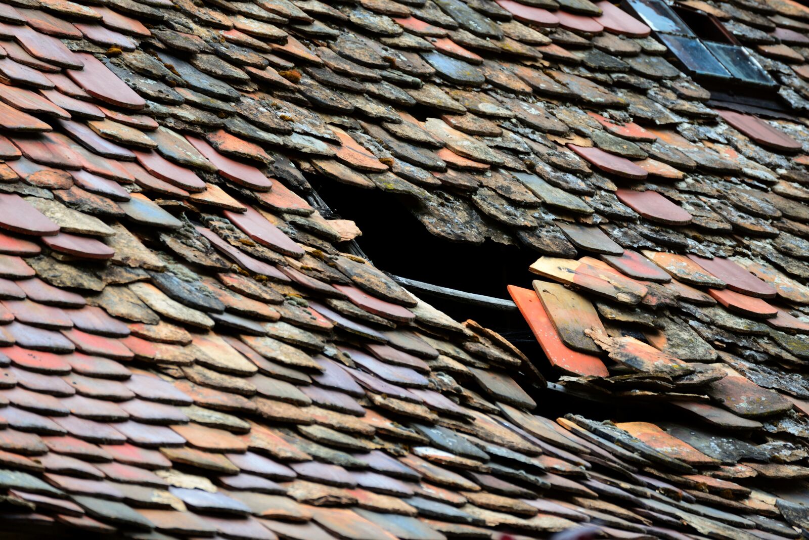 Nikon D610 sample photo. Roof, tile, roof damage photography
