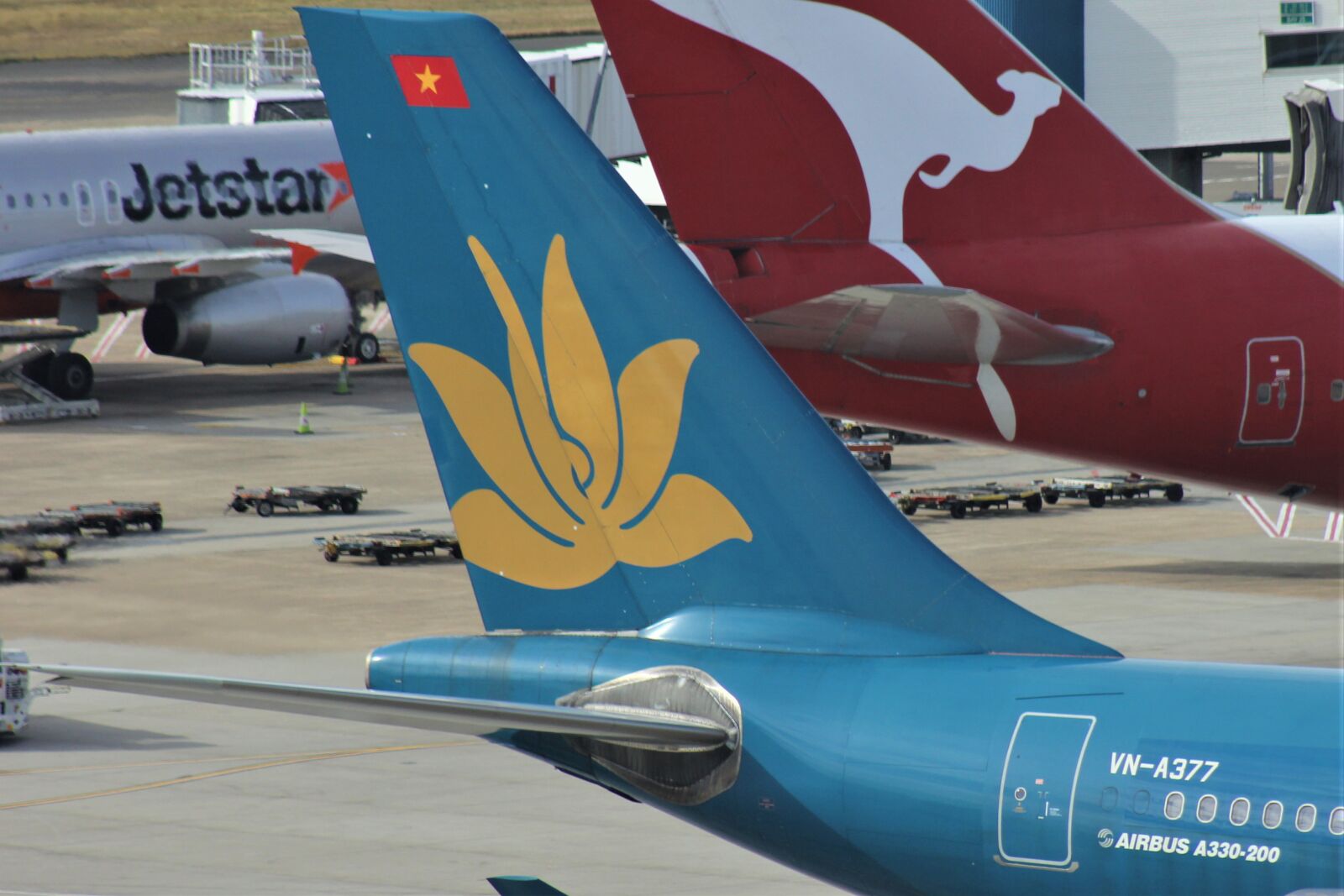 Canon EOS 60D sample photo. Vietnam airlines, decals, blue photography