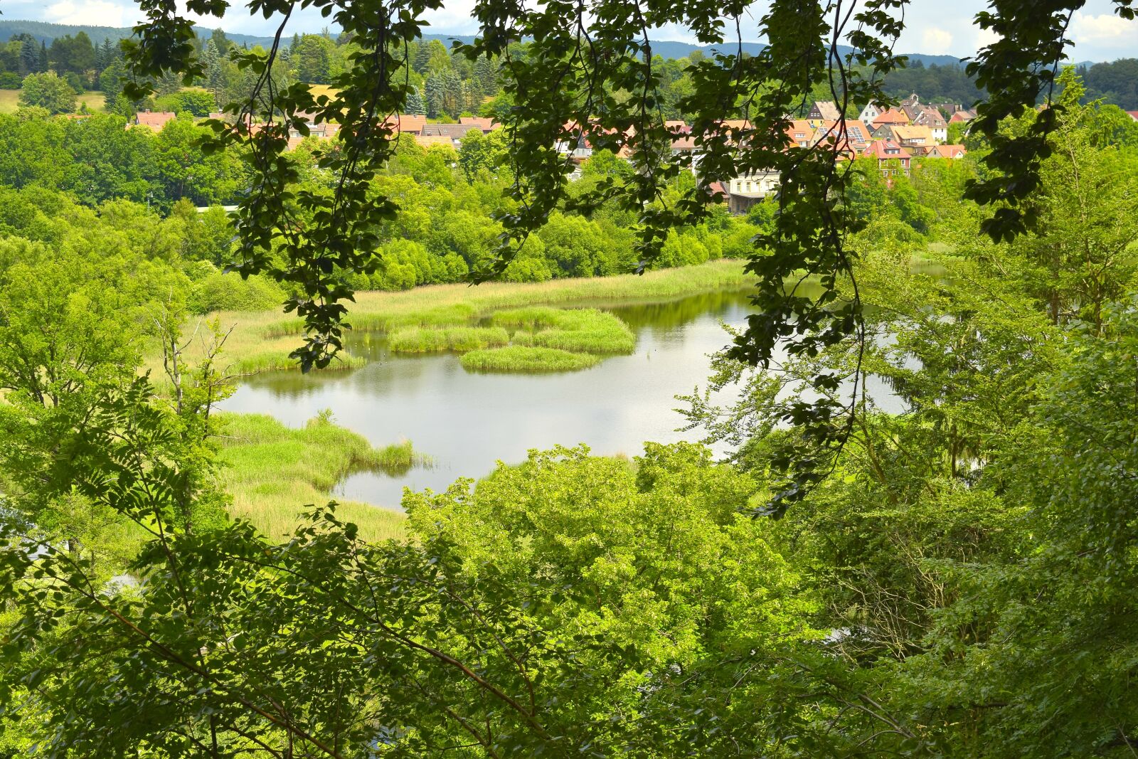 Nikon D5300 sample photo. Landscape, pond, lake photography