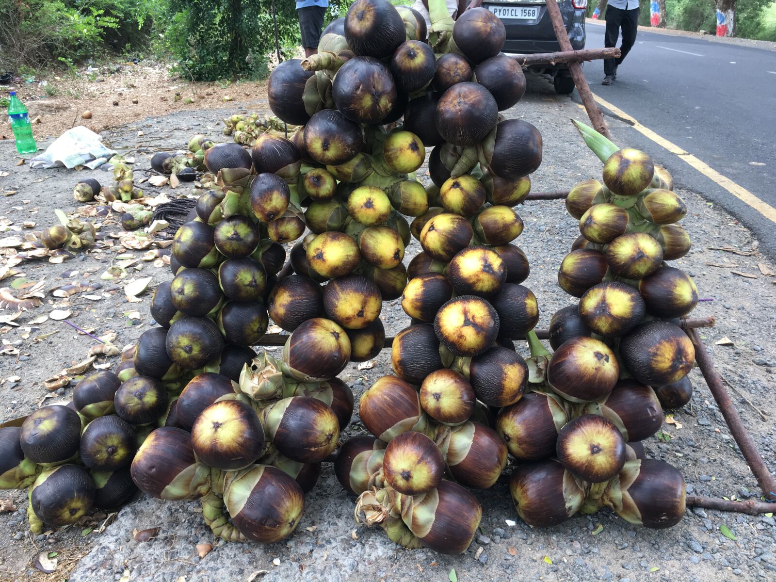 Apple iPhone 6s sample photo. Fruits, roadside fruits, natural photography