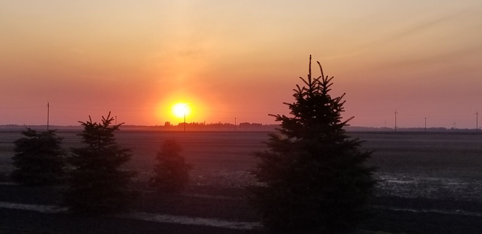 Samsung Galaxy S8 sample photo. Rural, sunset, natural photography