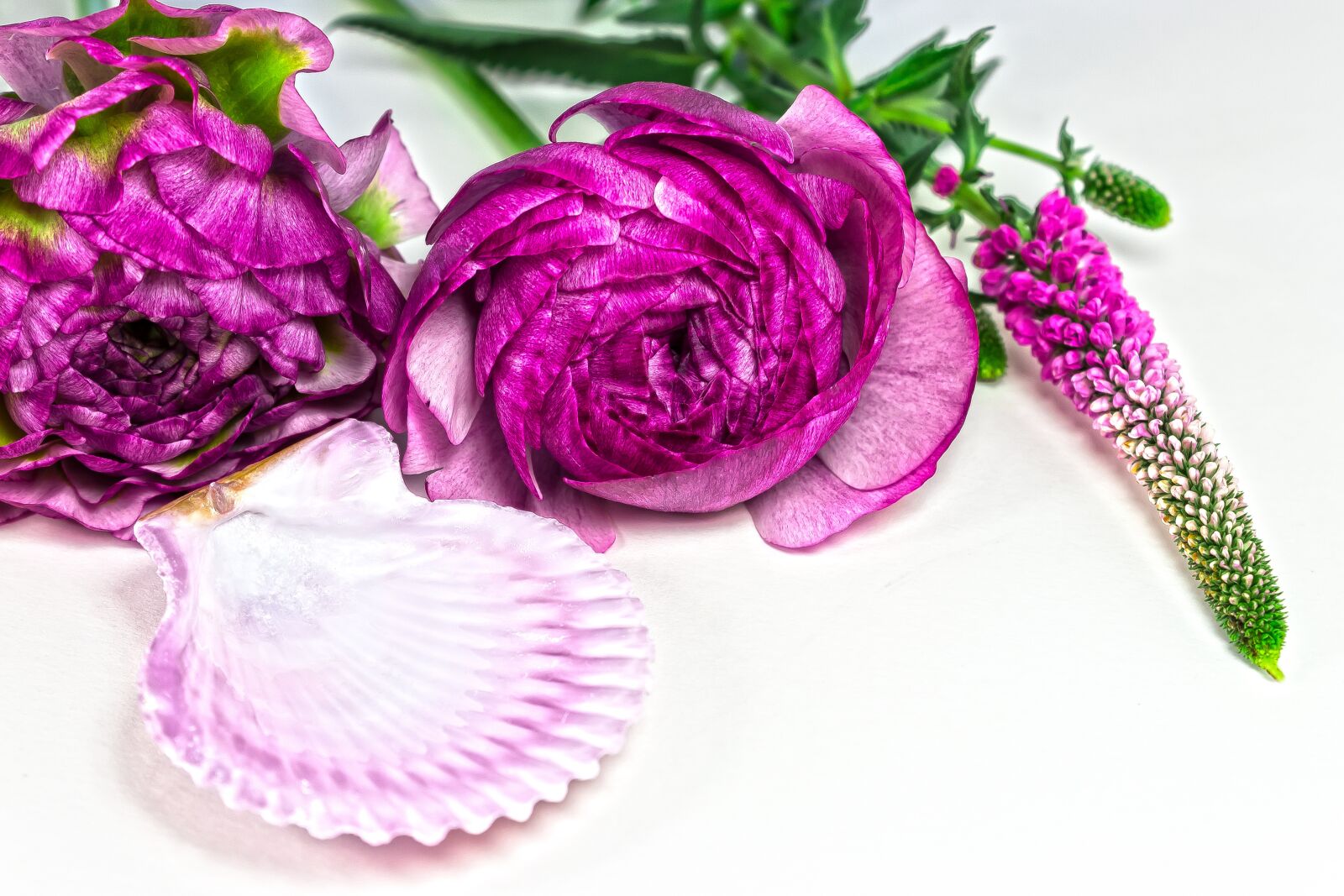 Canon EOS 1300D (EOS Rebel T6 / EOS Kiss X80) sample photo. Ranunculus, blossom, bloom photography