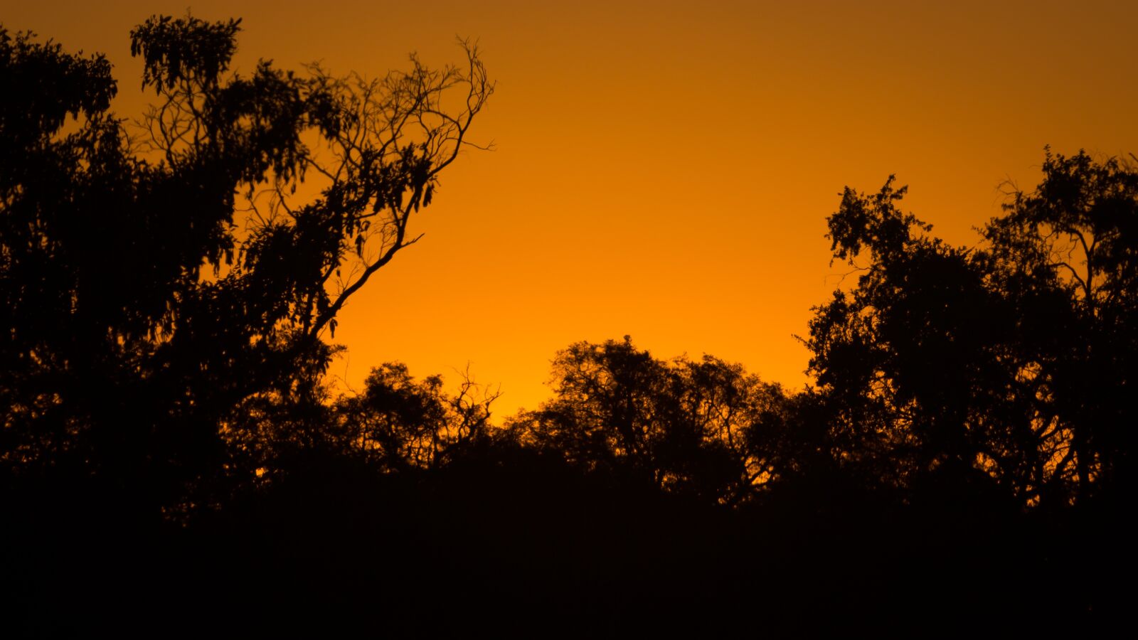 Canon EF 100-400mm F4.5-5.6L IS USM sample photo. Sunset, africa, botswana photography