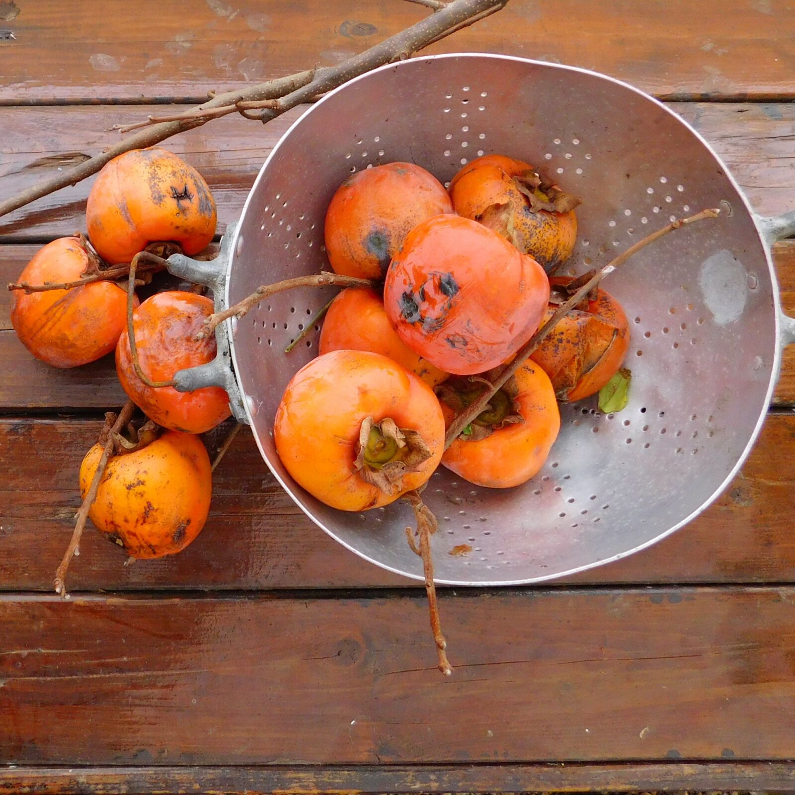 Nikon Coolpix L840 sample photo. Khaki, autumn, orange photography