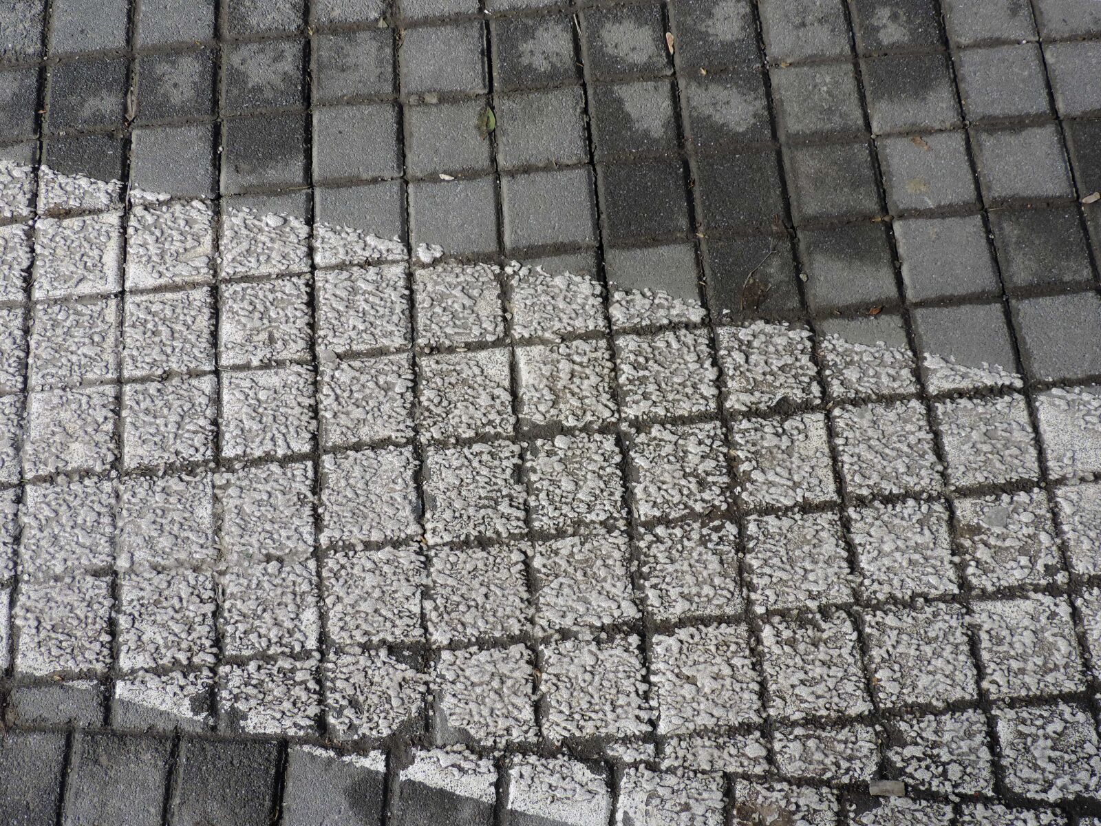 Nikon Coolpix P520 sample photo. Paving stone, sidewalk, surface photography