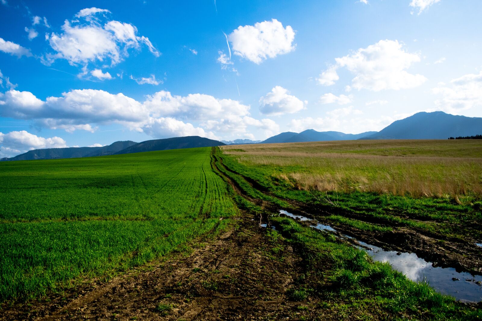 Nikon D3300 sample photo. Meadow, heaven, sky photography