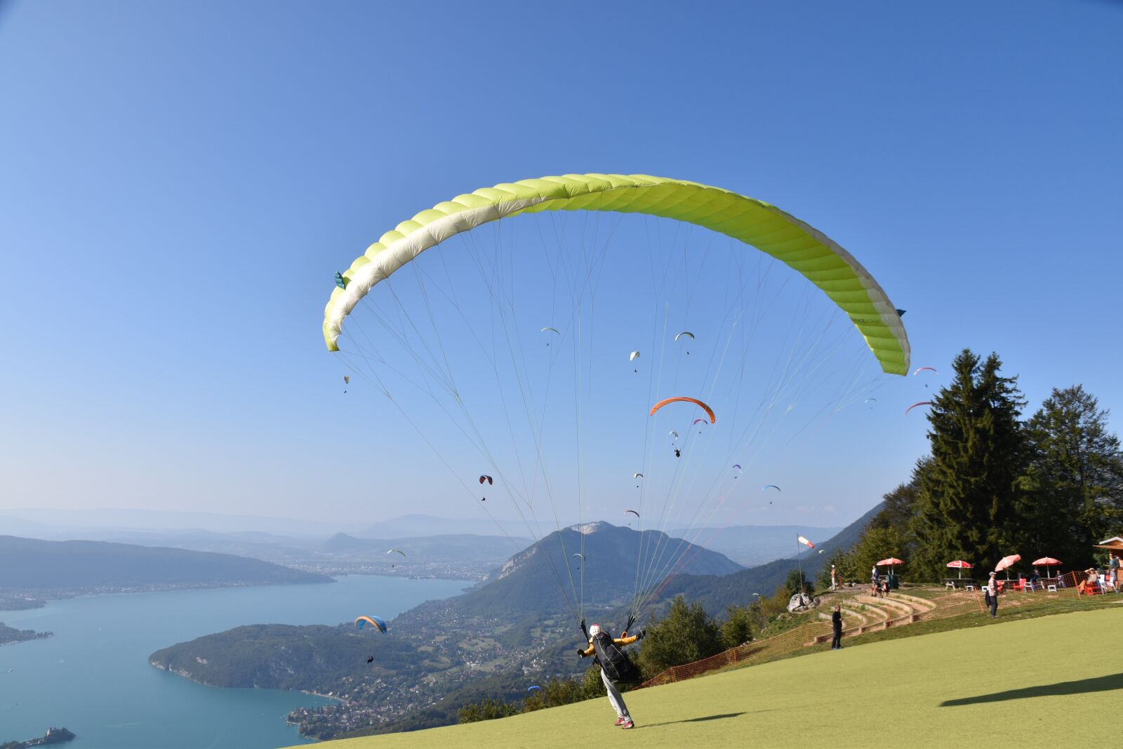 Nikon D5600 sample photo. Paragliders, sails, wings photography