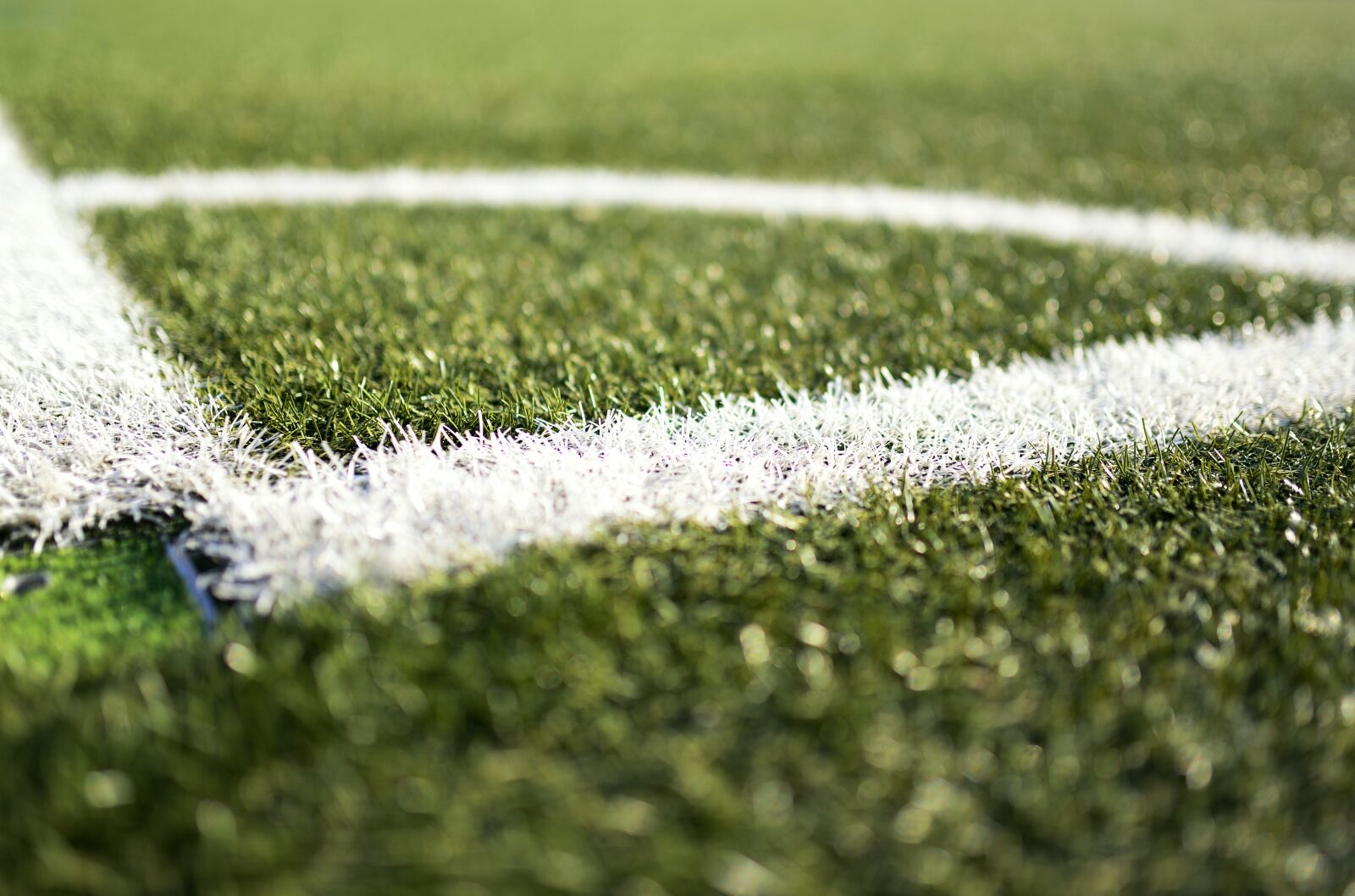 Nikon D610 sample photo. Artificial turf, football pitch photography