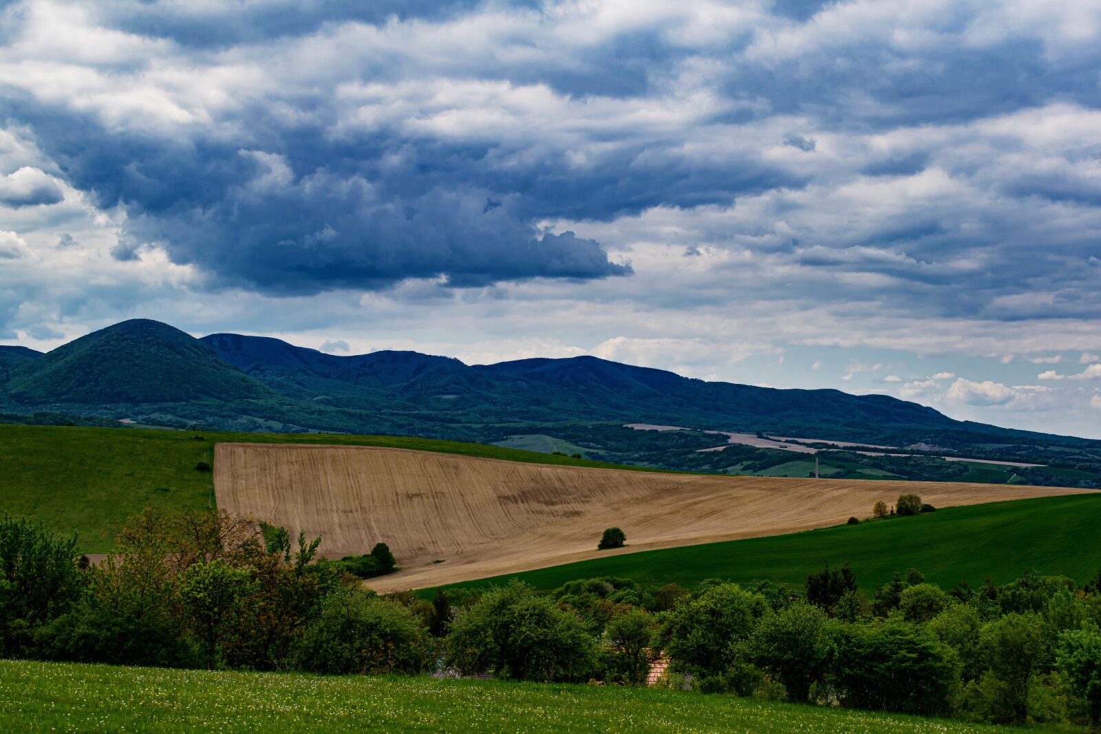 Nikon D5300 sample photo. Country, nature, the sky photography