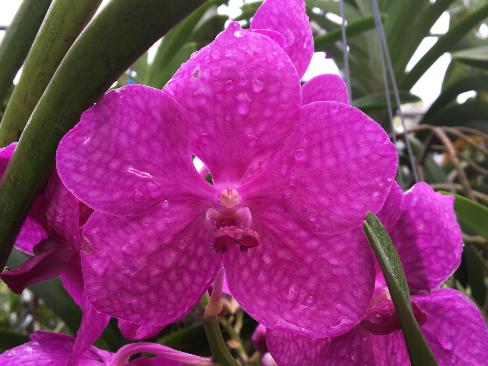 iPhone 6s back camera 4.15mm f/2.2 sample photo