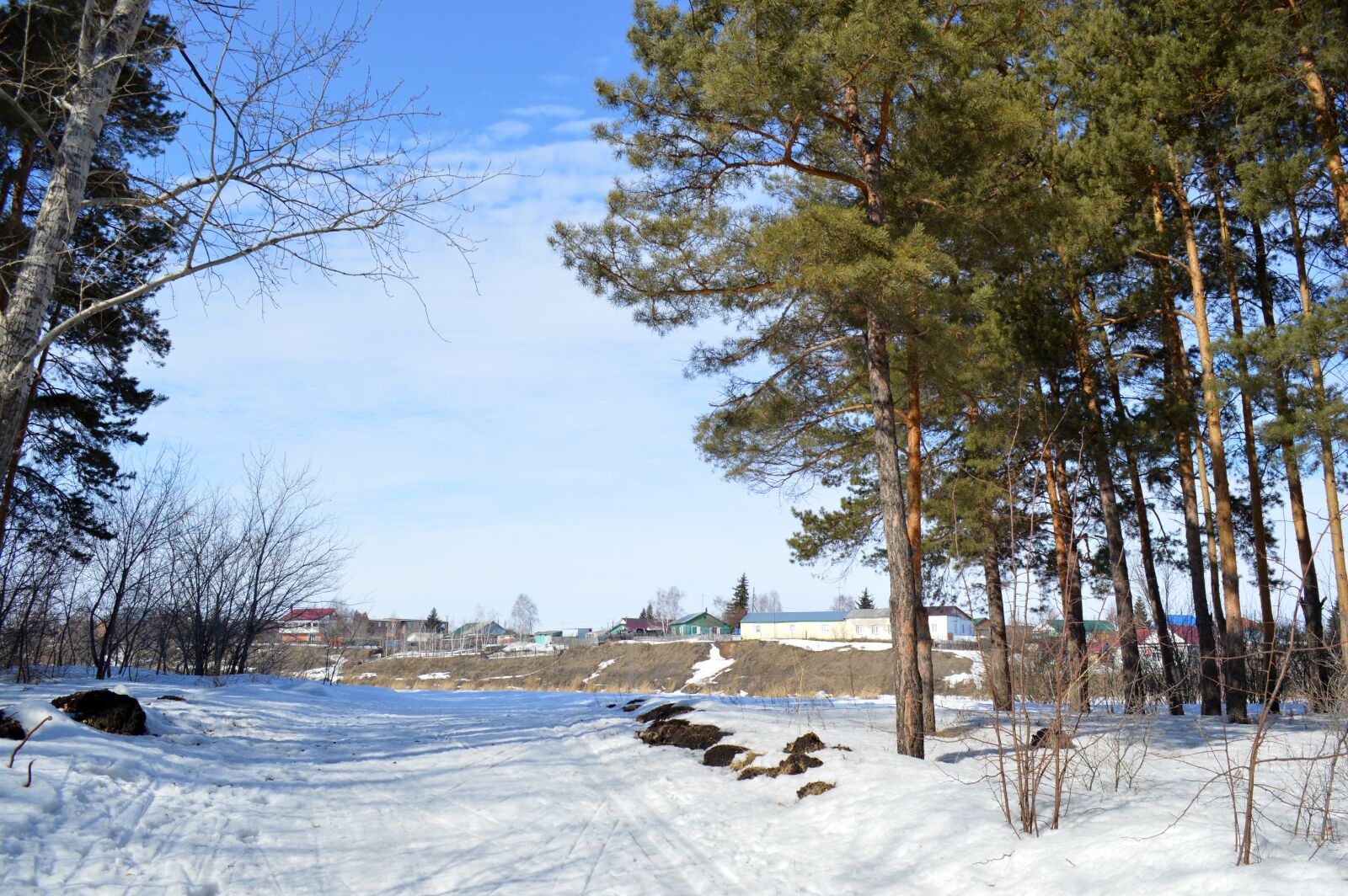Nikon D3200 sample photo. Park, spring, nature photography