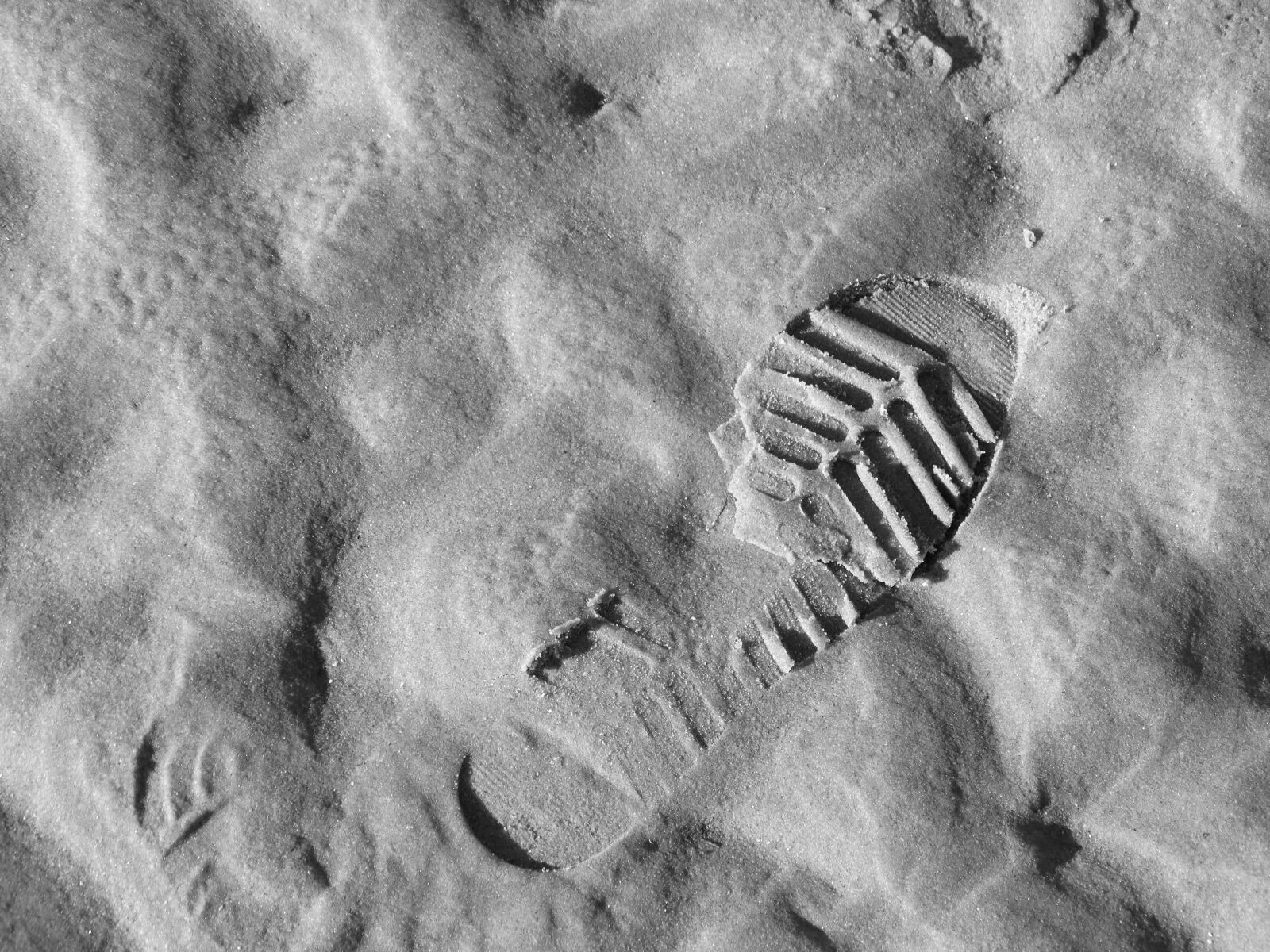 Sony Cyber-shot DSC-HX300 sample photo. Footprint, shoe, steps photography
