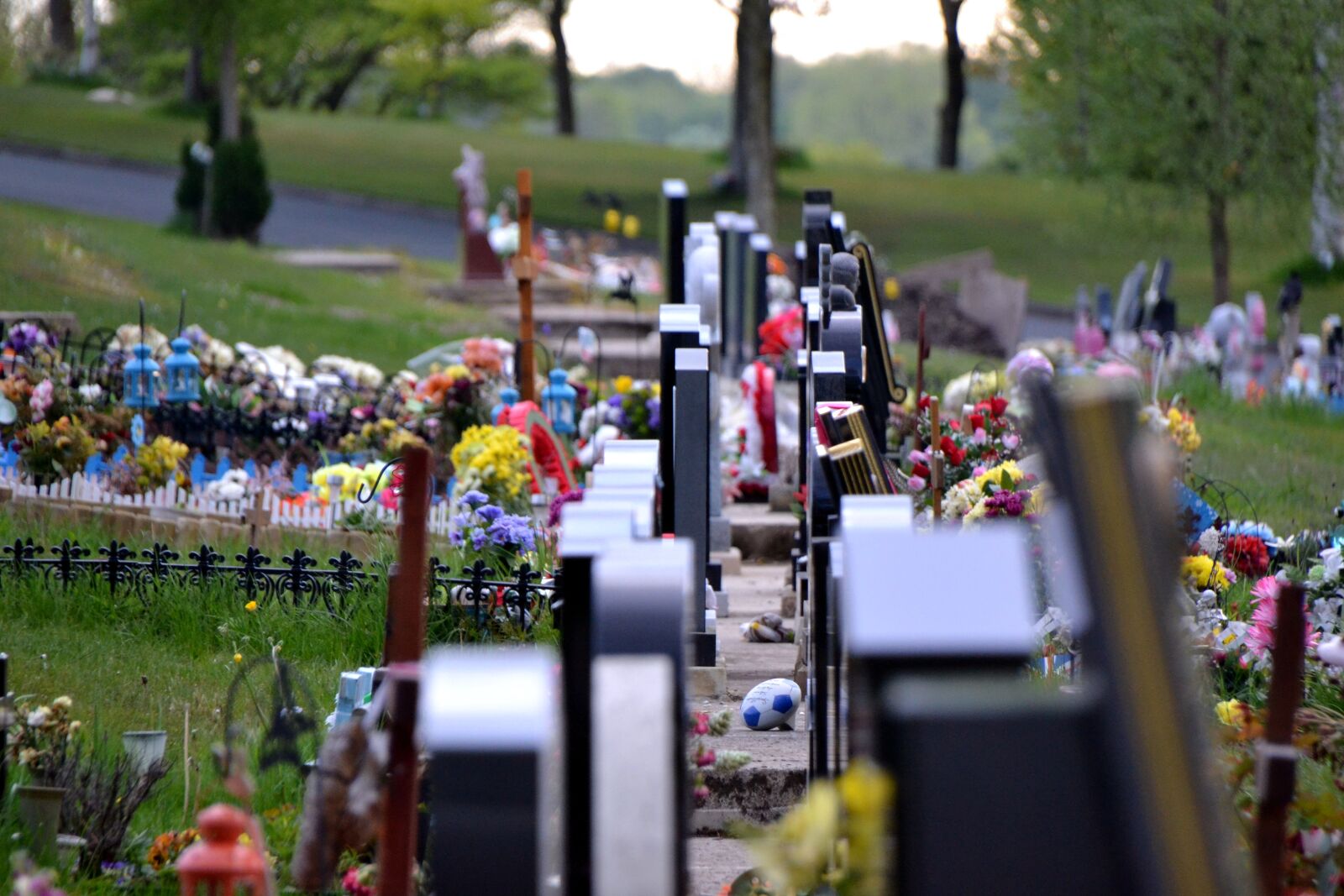 Nikon D3100 sample photo. Graveyard, flowers, green photography