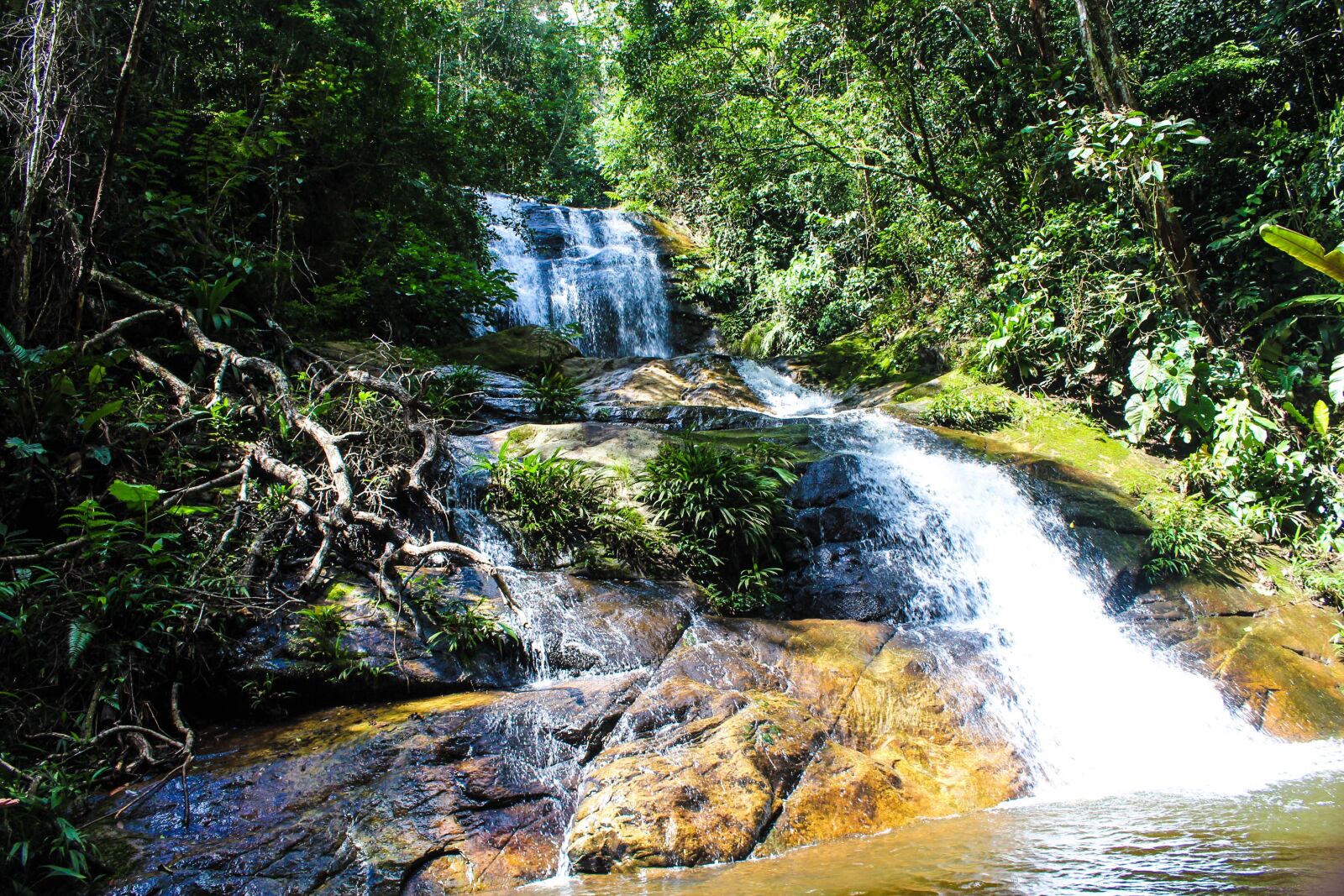 Canon EOS 1200D (EOS Rebel T5 / EOS Kiss X70 / EOS Hi) sample photo. Water, jungle, waterfall photography