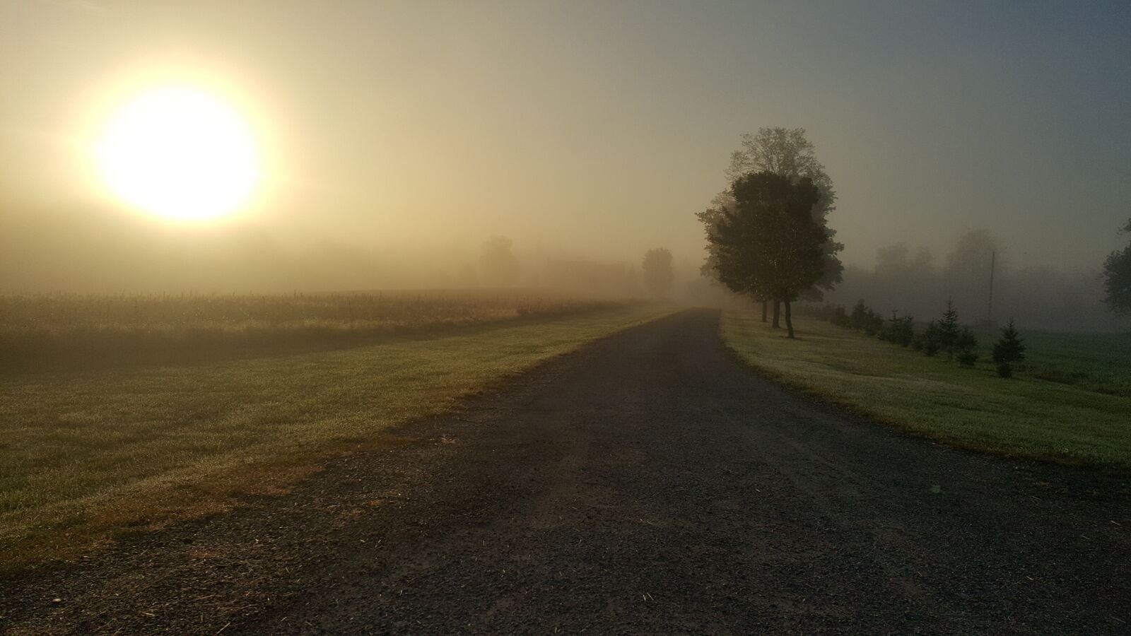 Samsung Galaxy S6 sample photo. Foggy, morning, sun, sunrise photography