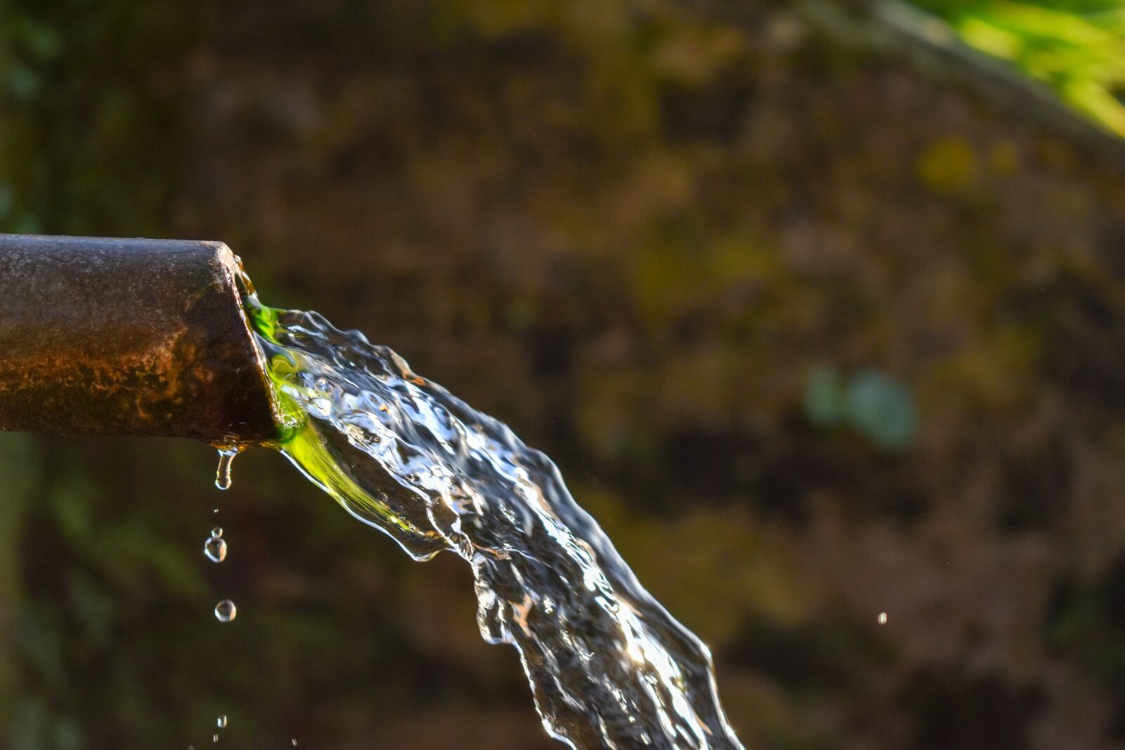 Nikon D5600 sample photo. Nature, outdoors, body of photography