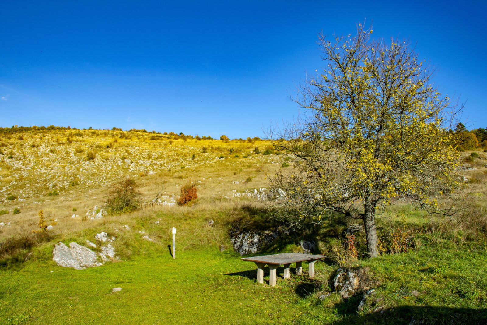 Nikon D5300 sample photo. Hungary, aggtelek, resting photography