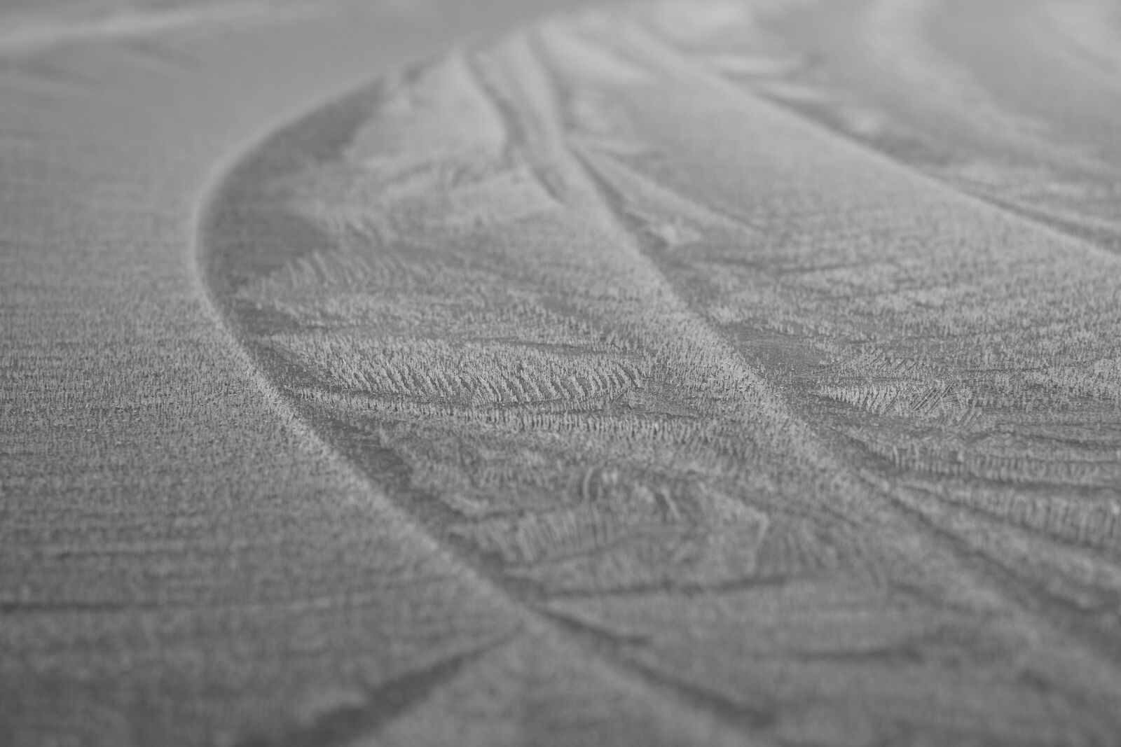 Fujifilm X-Pro1 sample photo. Black, and, white, frost photography