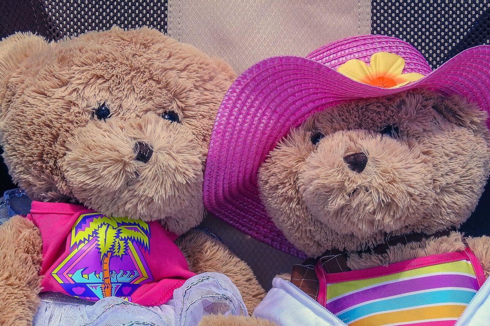 Nikon Coolpix P900 sample photo. Teddy bears, teddy, bears photography