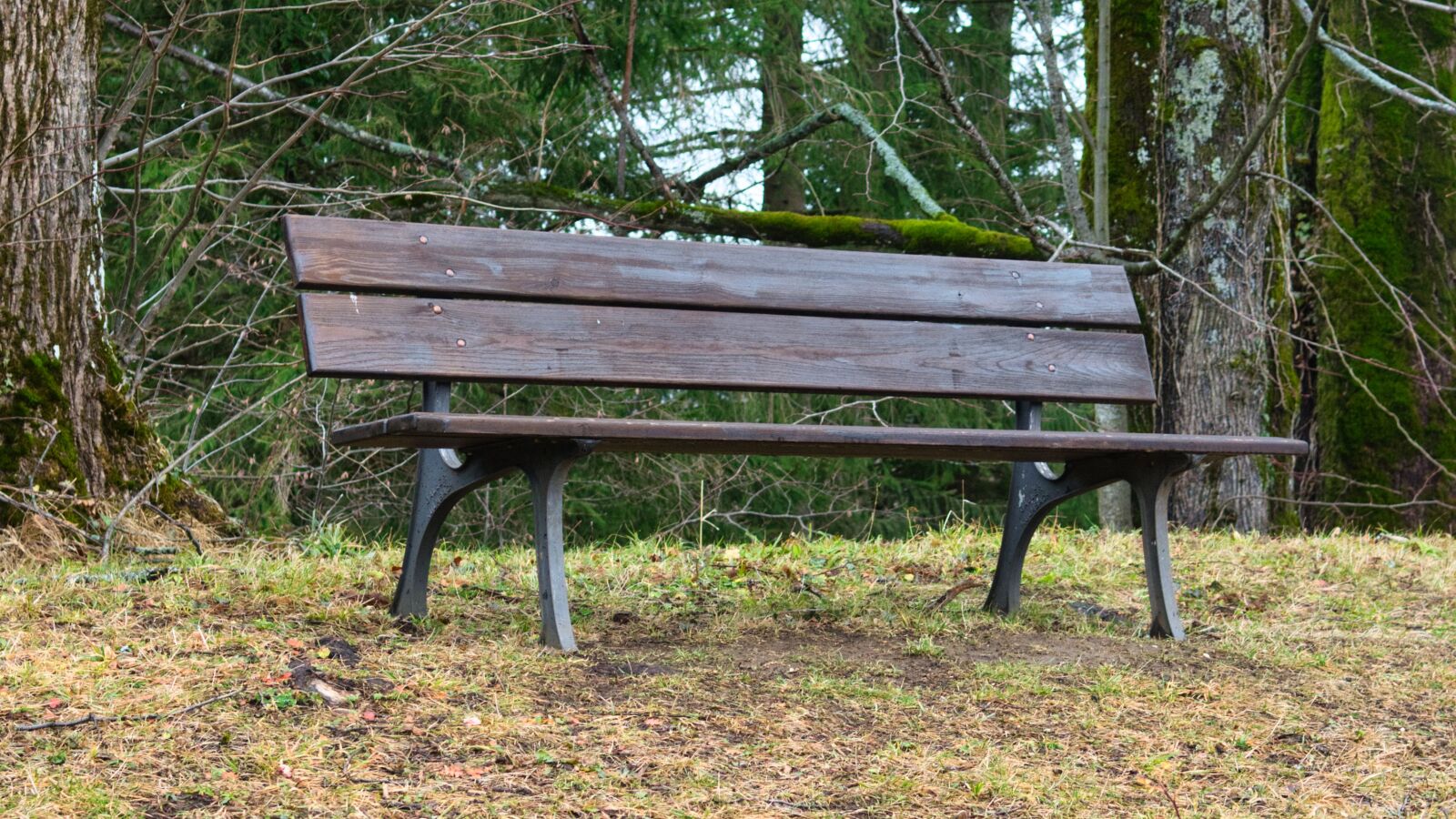 Nikon D7100 sample photo. Bench, seat, autumn photography