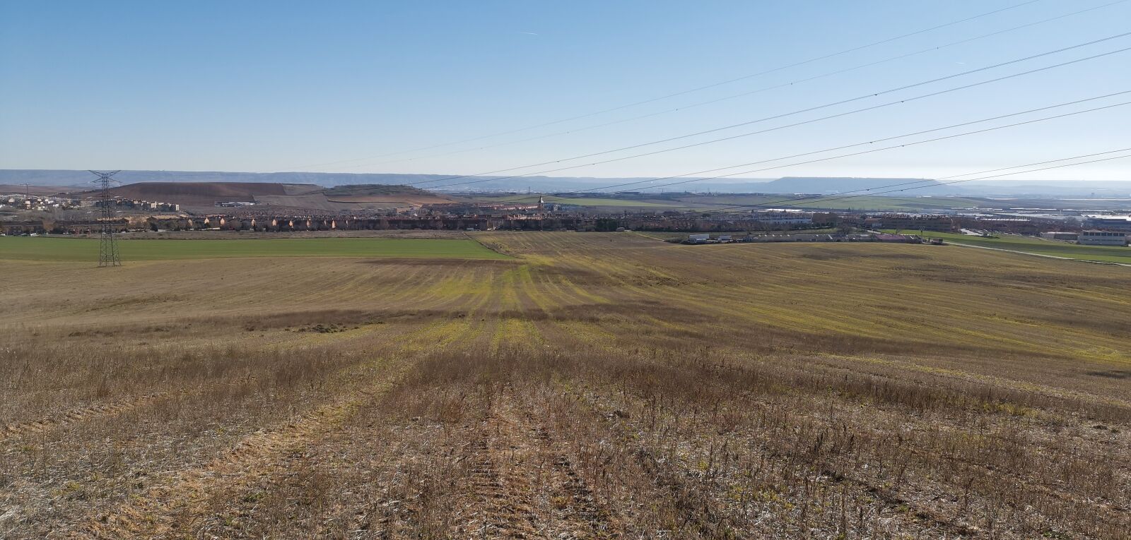 HUAWEI LYA-L29 sample photo. Field, autumn, laid photography