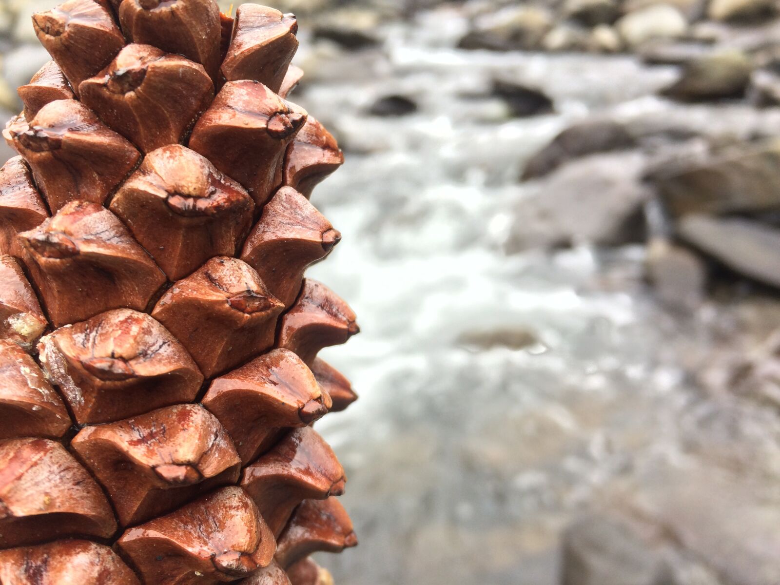 iPhone 5s back camera 4.15mm f/2.2 sample photo. River, nature, rock photography