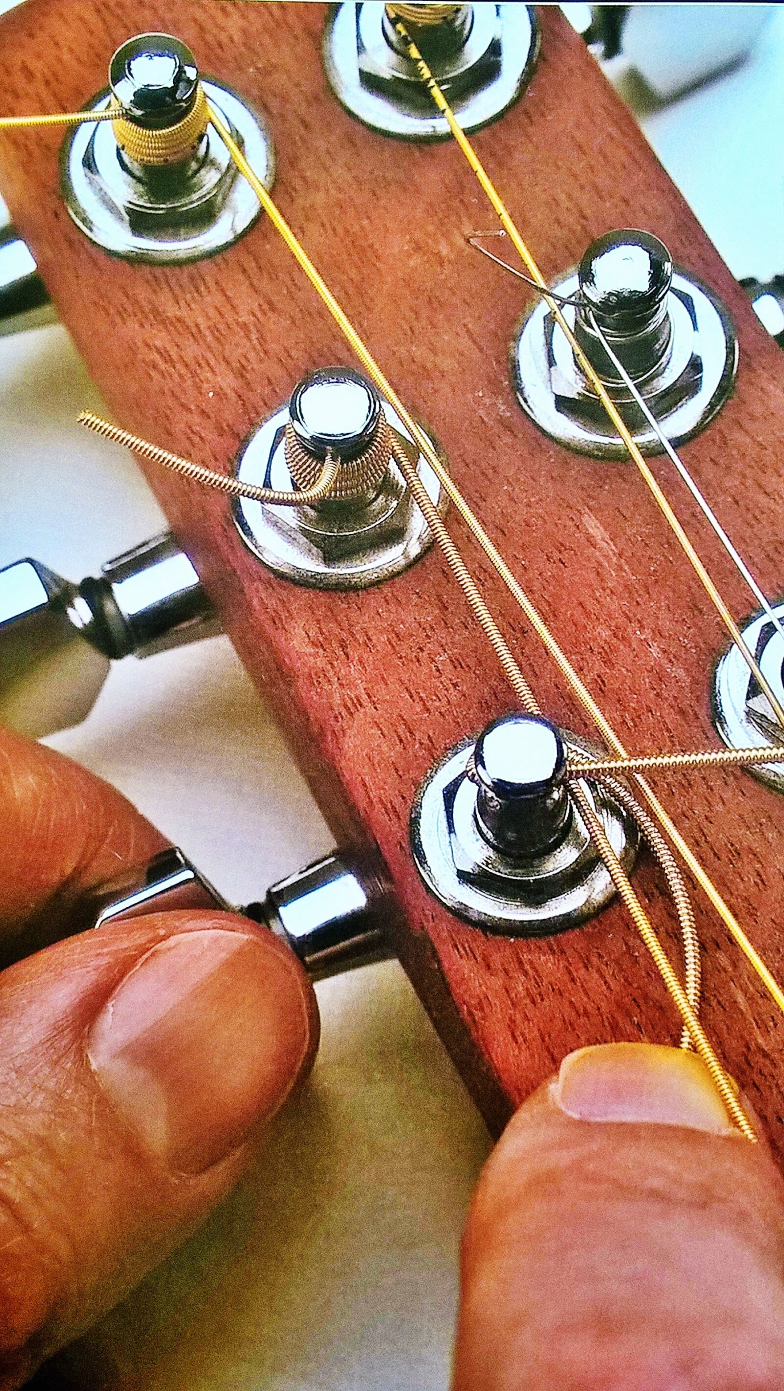 Microsoft Lumia 640 LTE Dual SIM sample photo. Guitar, strings, voices photography