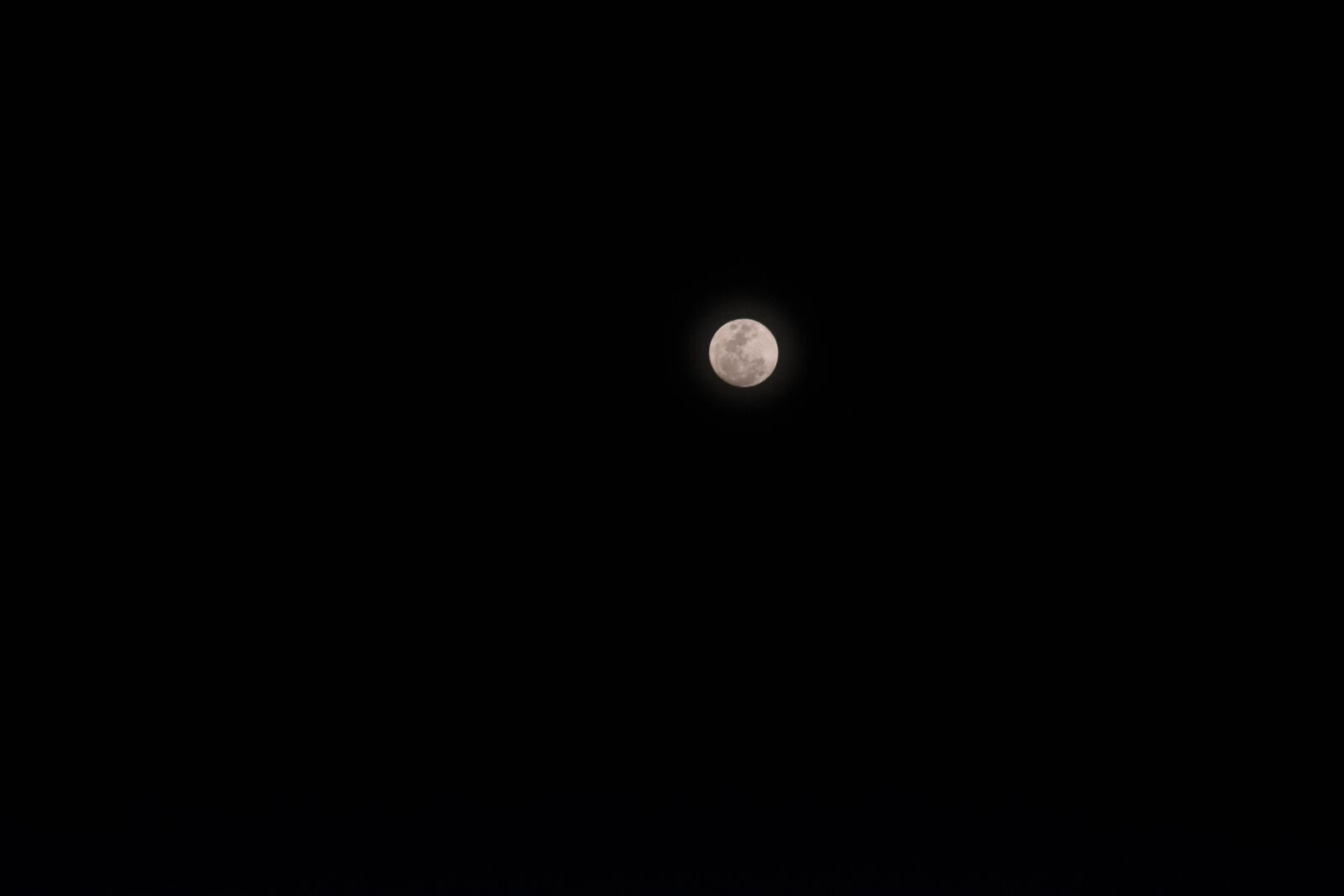 Nikon D7200 sample photo. Moon, night, halloween photography