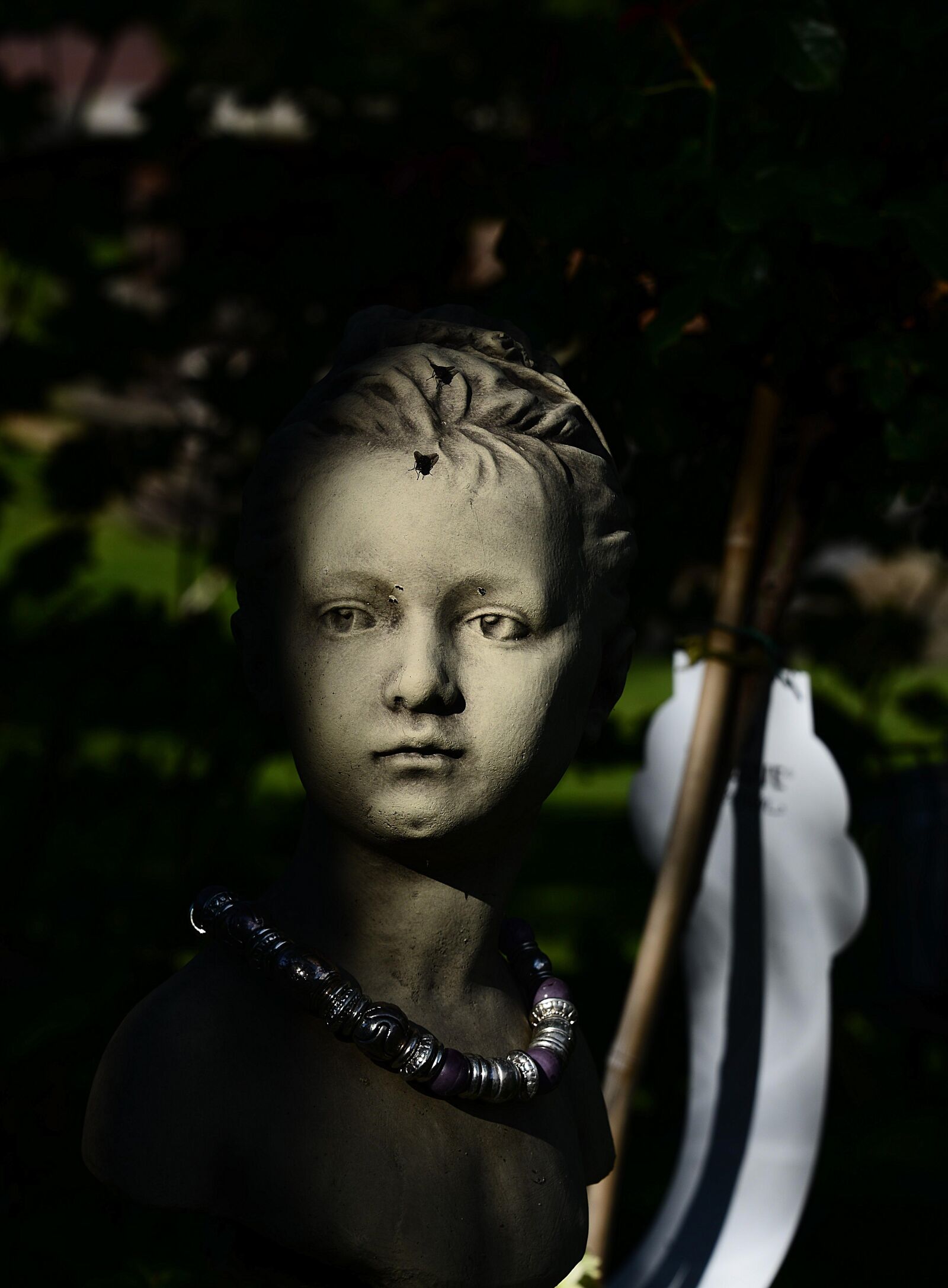Nikon D610 sample photo. Child, kids, face photography
