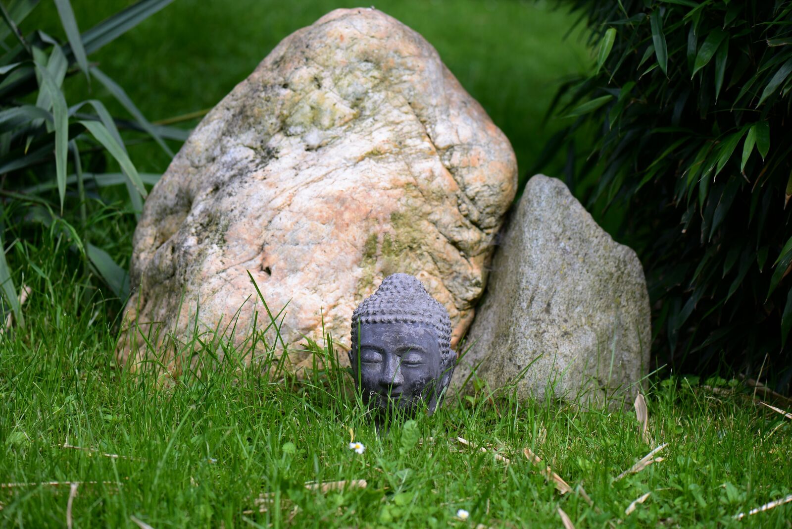 Nikon D610 sample photo. Head, buddha, stone photography