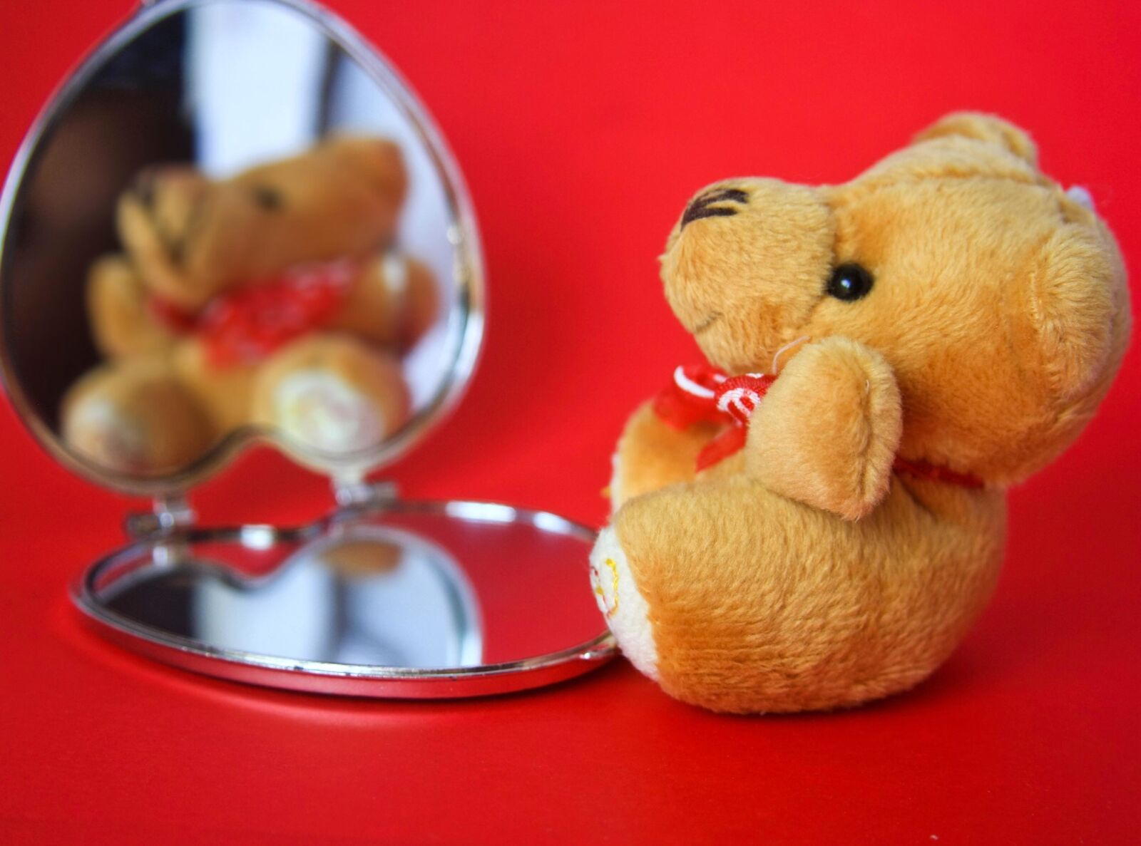 Canon EOS 1000D (EOS Digital Rebel XS / EOS Kiss F) sample photo. Teddy bear, mirror, toy photography