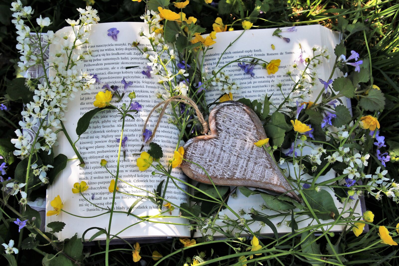 Canon EOS 80D sample photo. Relaxation, spring, reading photography