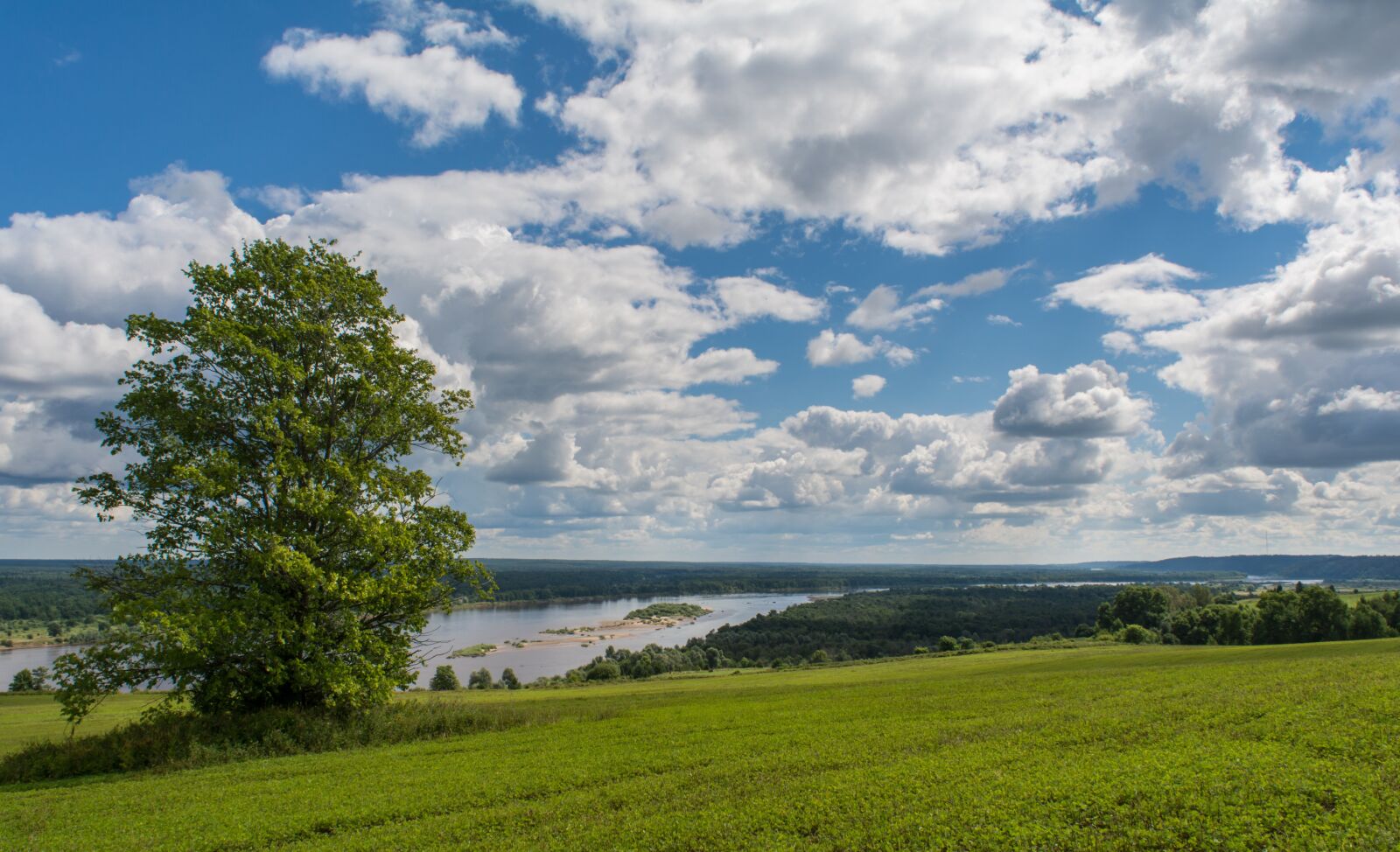 Nikon D5200 sample photo. Landscape, tree, summer photography