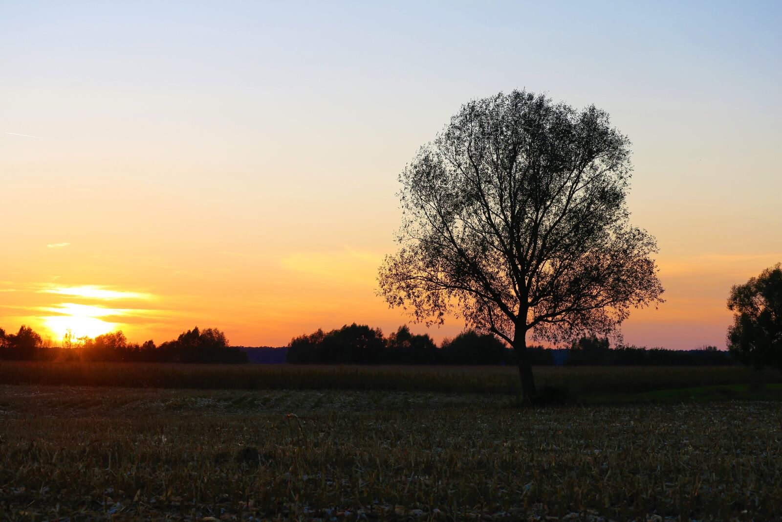 Canon EOS 6D + Canon EF 70-300 F4-5.6 IS II USM sample photo. Sunset, glowing sky, tree photography