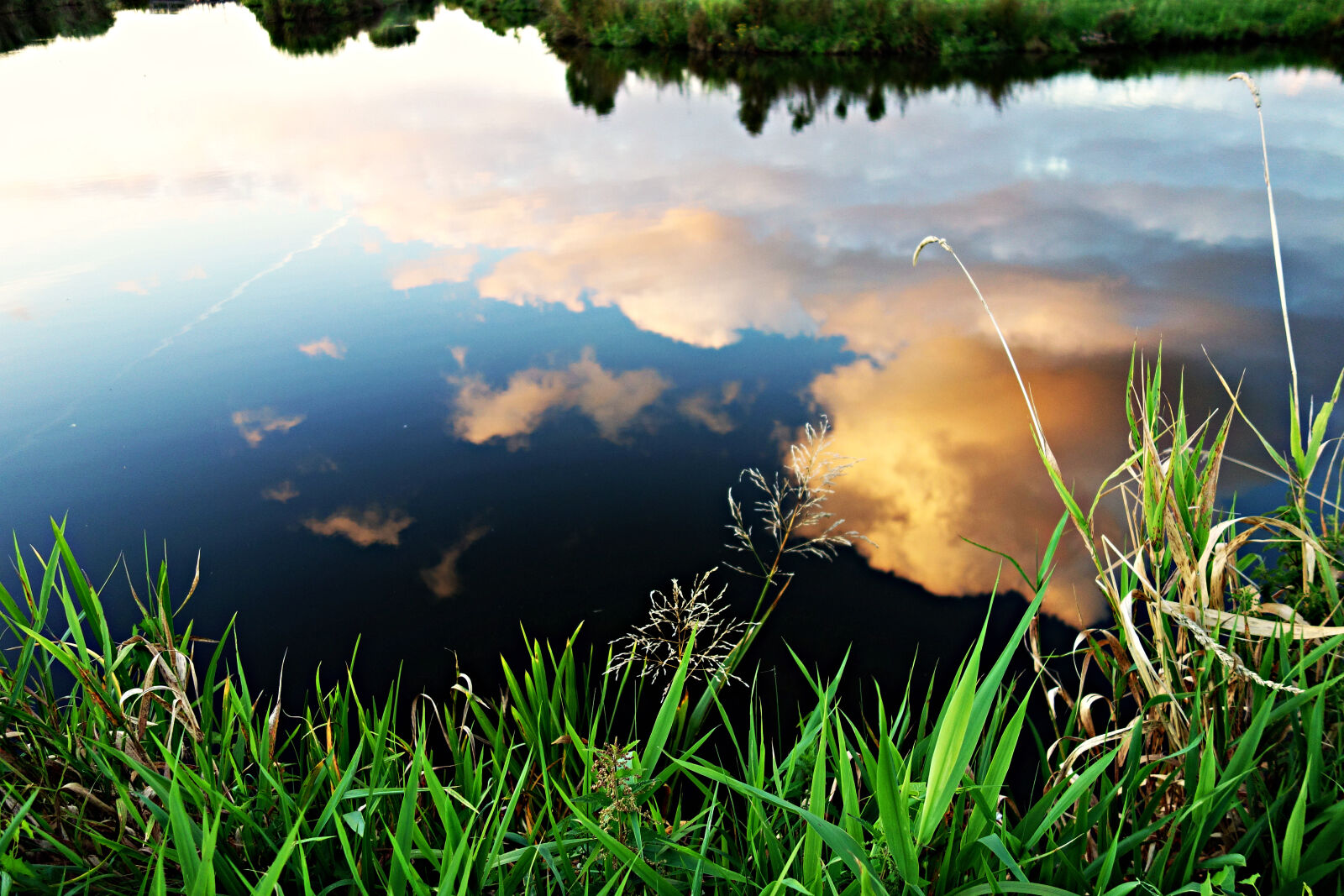 Sony Cyber-shot DSC-RX100 sample photo. Reflection, of, white, clouds photography