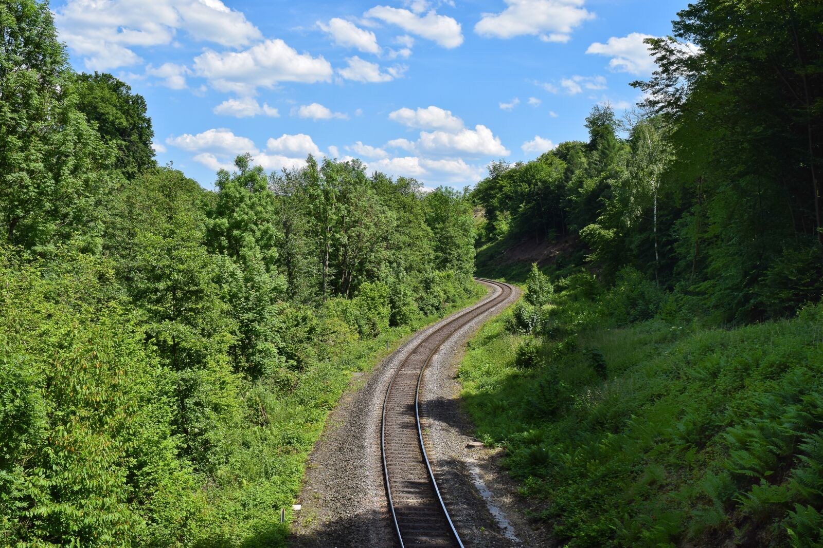 Nikon D3300 sample photo. Landscape, forest, railway photography