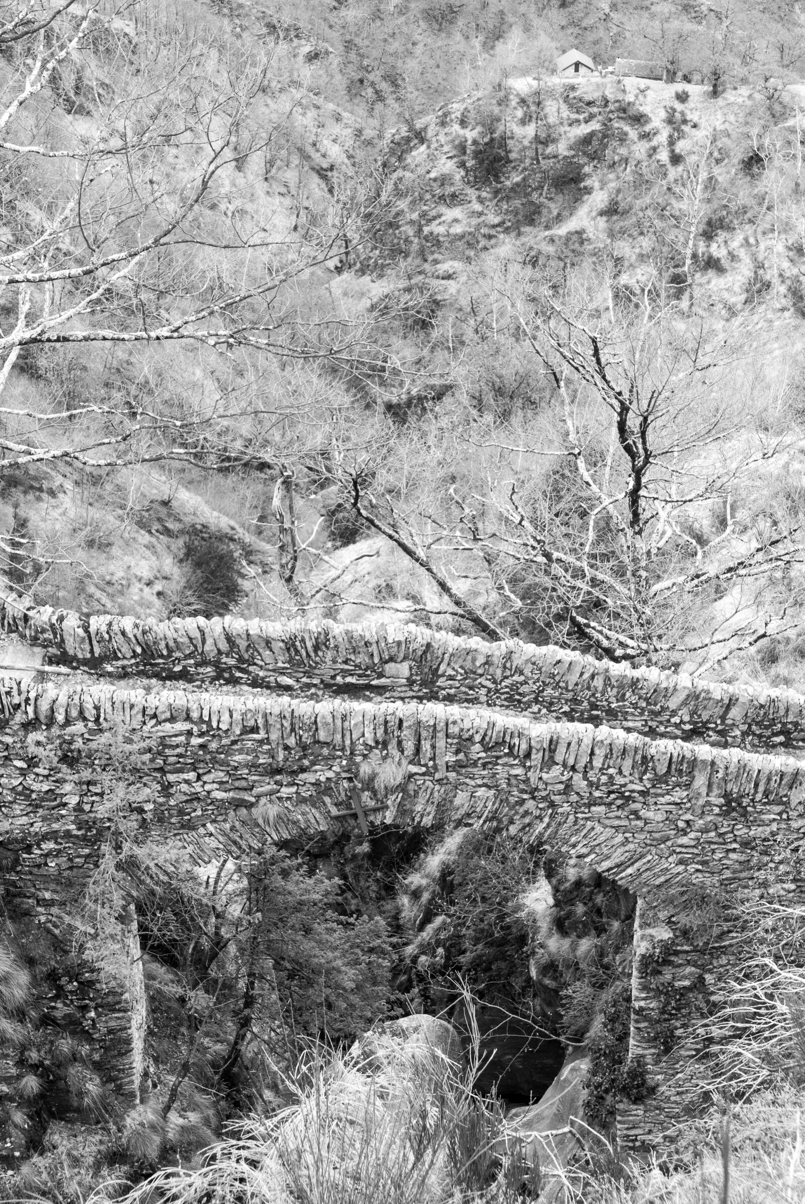 Panasonic Lumix DMC-LX100 sample photo. Ticino, maggia valley, bridge photography