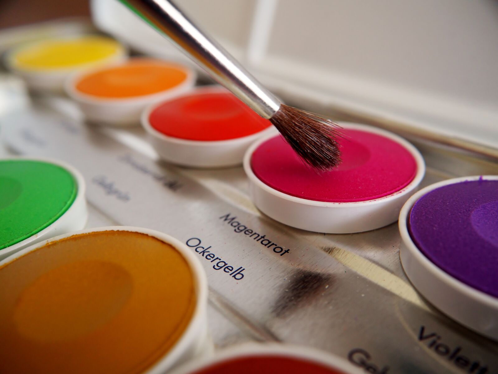 Olympus OM-D E-M10 sample photo. Watercolor, brush, background photography