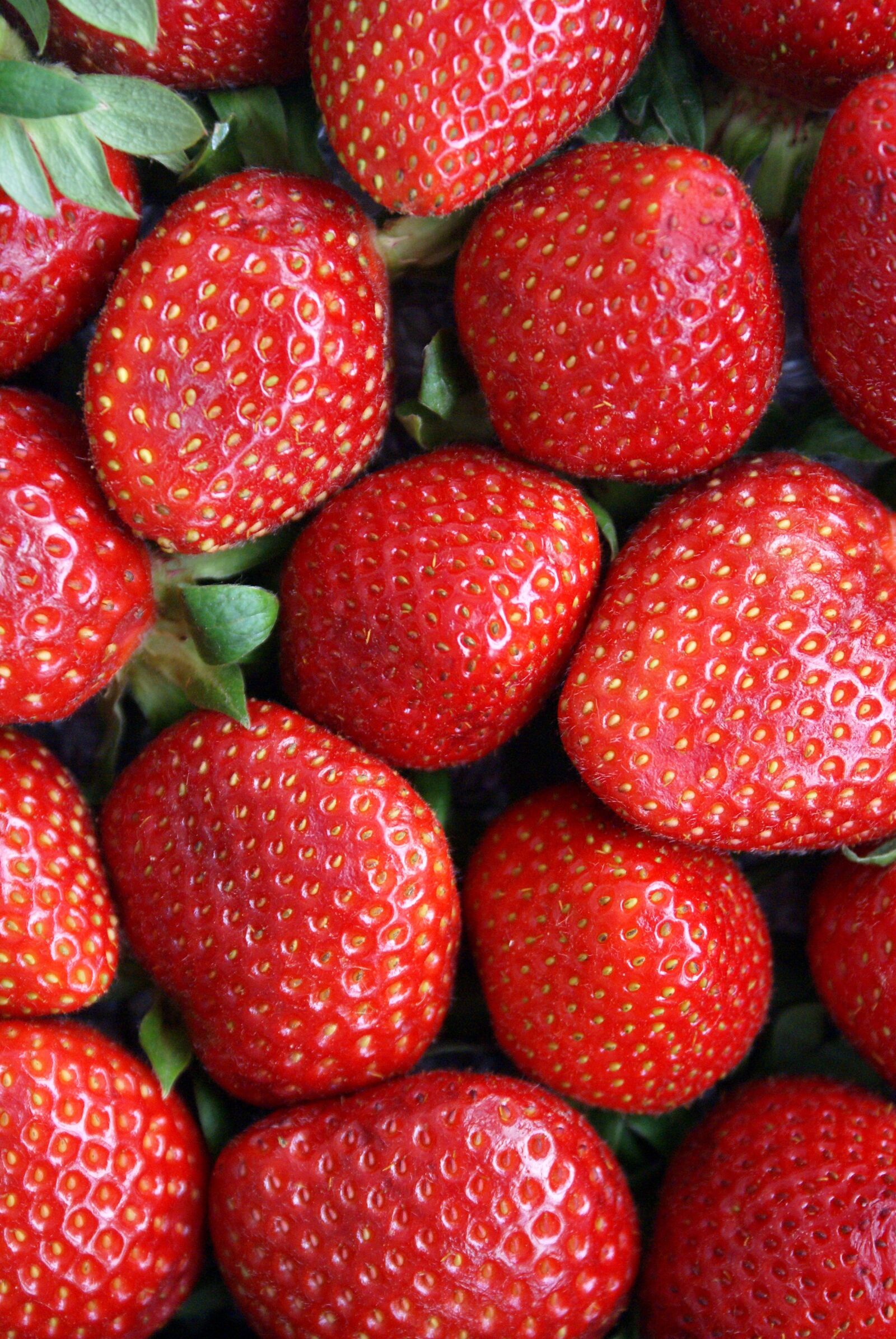 Sony Alpha DSLR-A100 sample photo. Strawberries, red, fruits photography