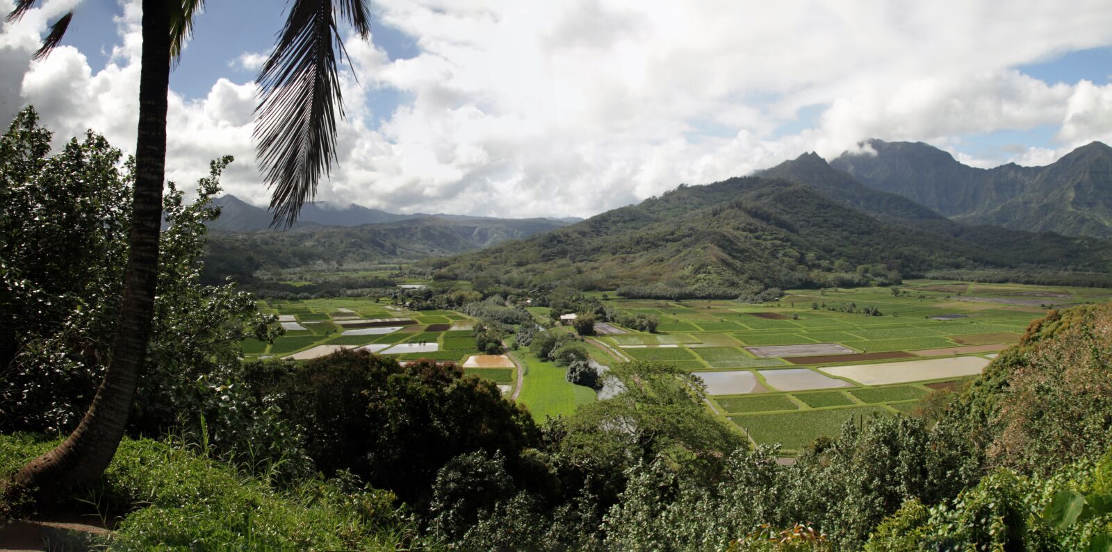 Canon EOS 7D sample photo. Farm, plantation, agriculture photography