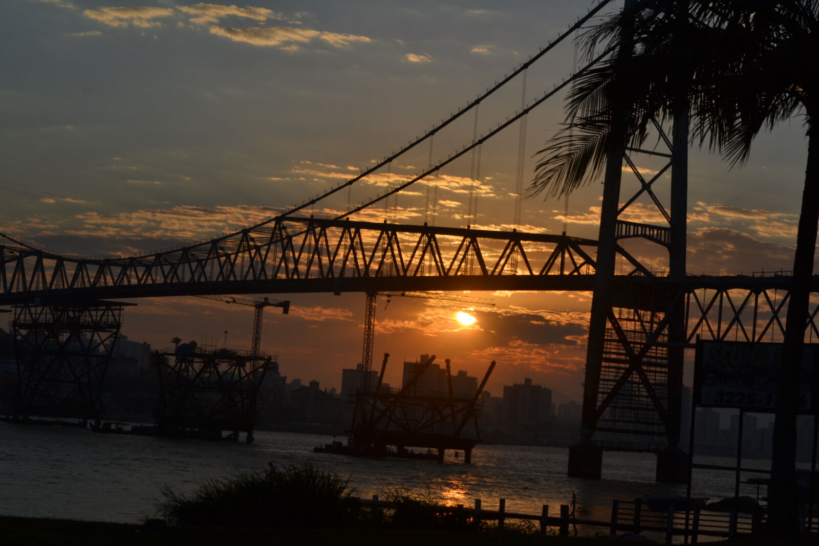 Nikon D3100 sample photo. Bridge, summer, sun photography