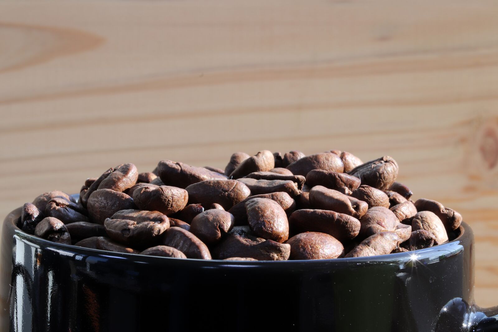 Canon EOS 800D (EOS Rebel T7i / EOS Kiss X9i) sample photo. Coffee, coffee bean, bean photography