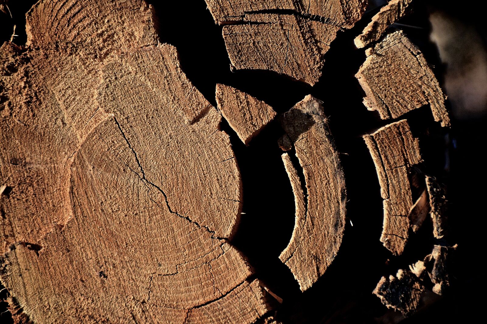 Nikon D3200 sample photo. Log, tribe, wood photography